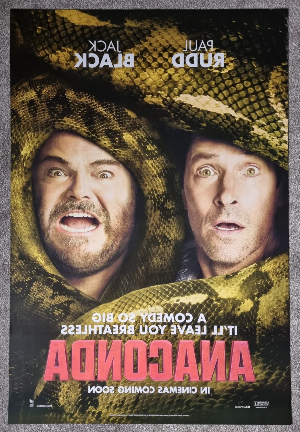 Anaconda - Original One Sheet Double Sided Cinema Poster Jack Black Ref P81, image 2