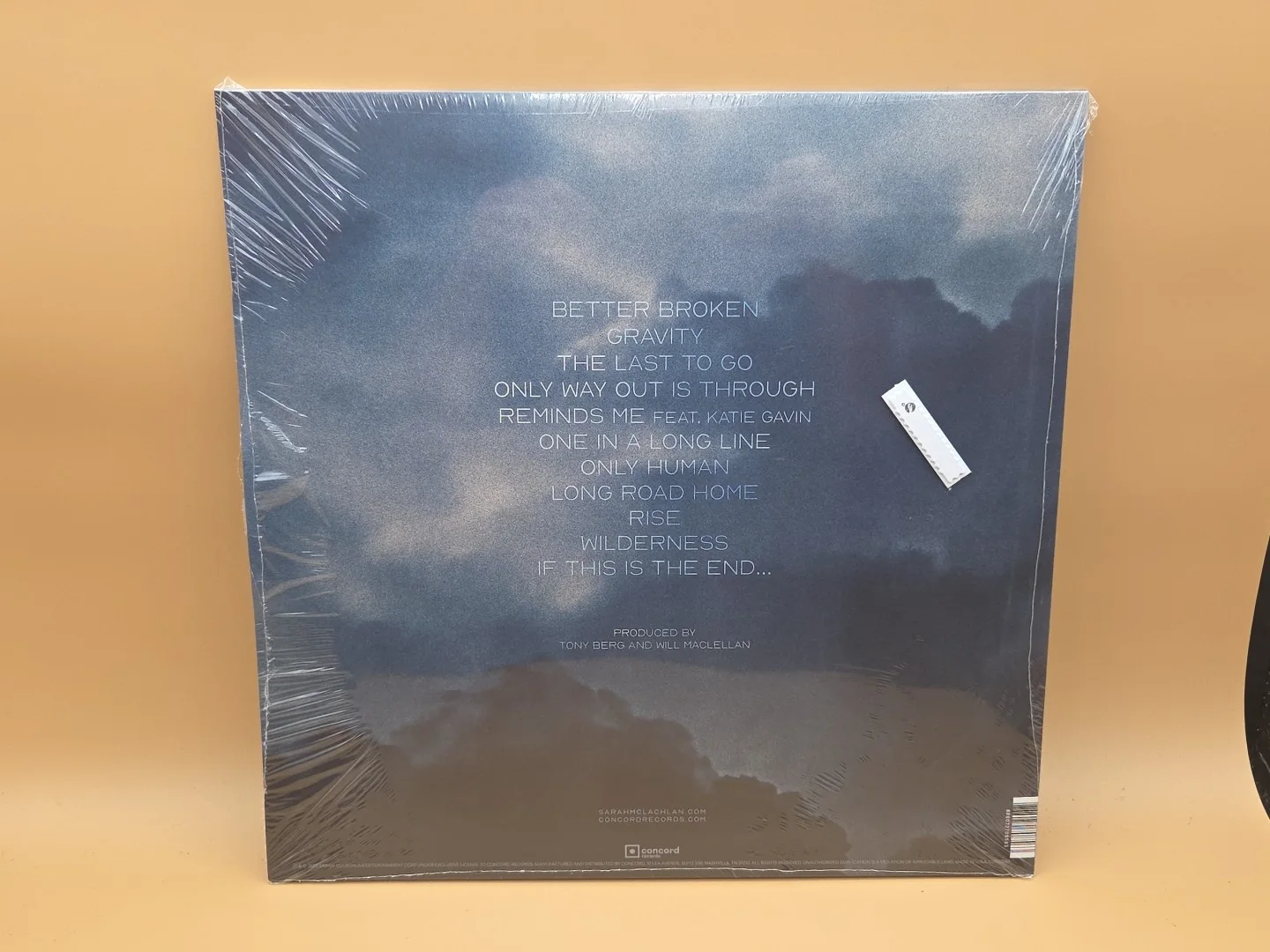 AUTOGRAPHED Sarah McLachlan Better Broken Vinyl LP record SIGNED COVER JACKET, image 3
