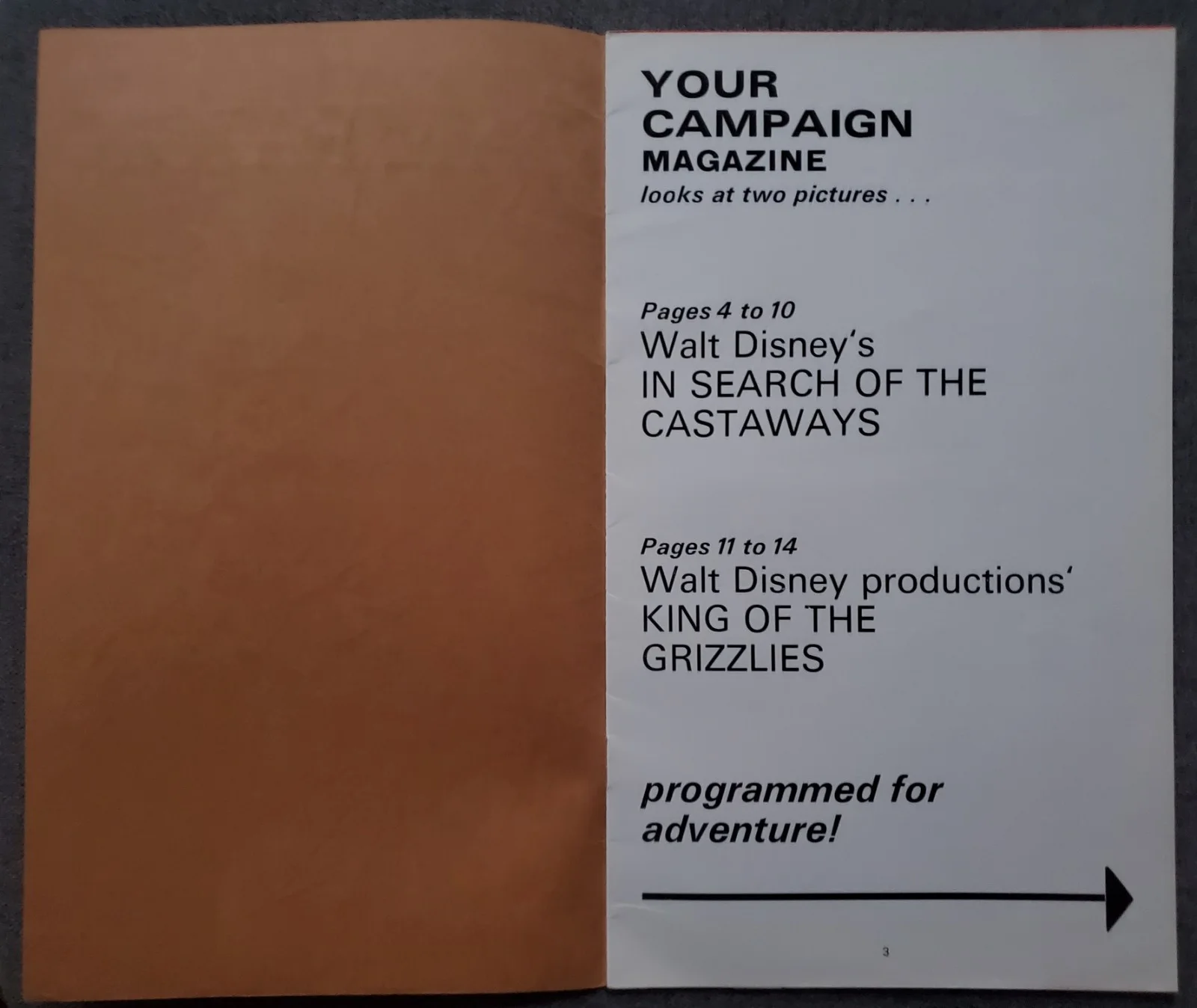 DISNEY - IN SEARCH OF THE CASTAWAYS / KING OF GRIZZLIES VINTAGE CAMPAIGN GUIDE, изображение 2