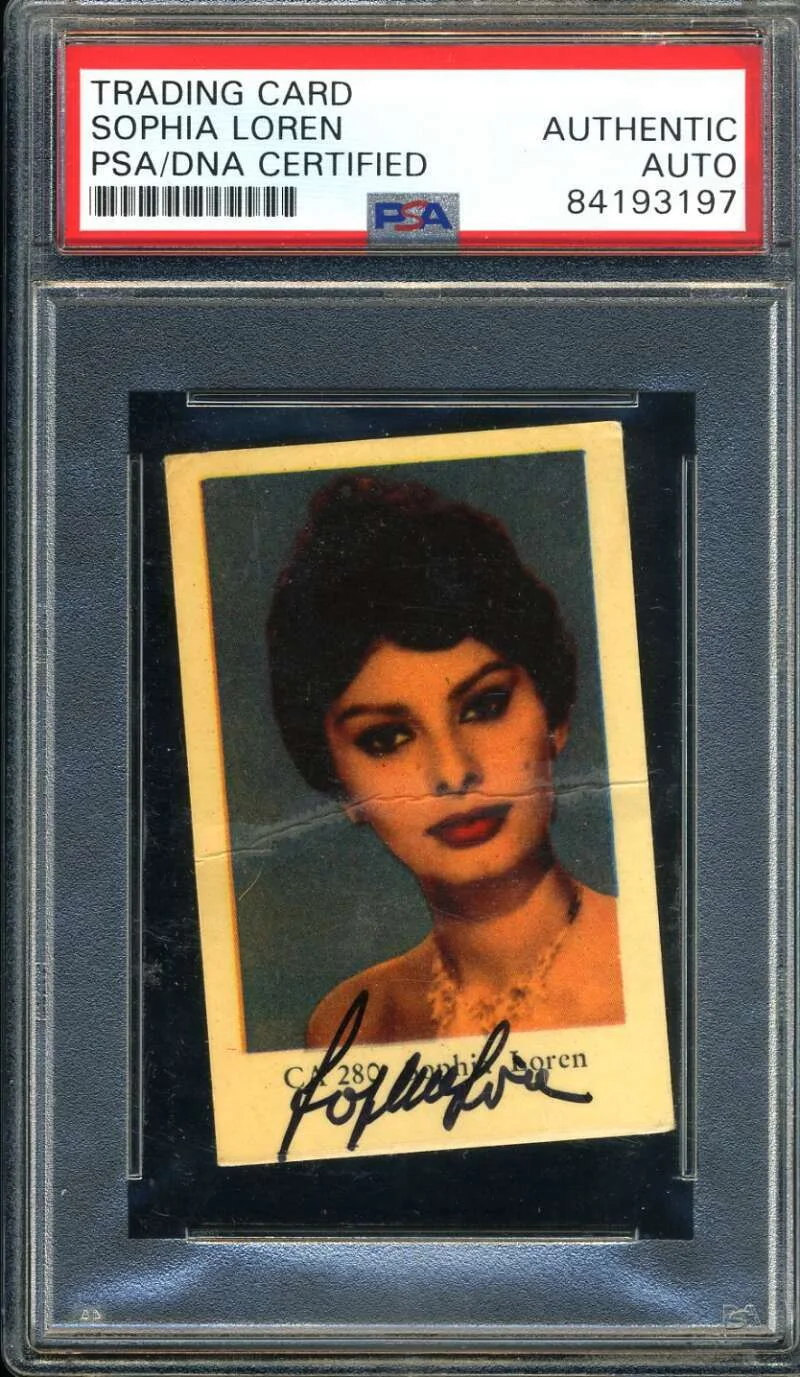 Sophia Loren — Sophia Loren PSA DNA Coa Signed 1950`s Dutch Trading Card Autograph