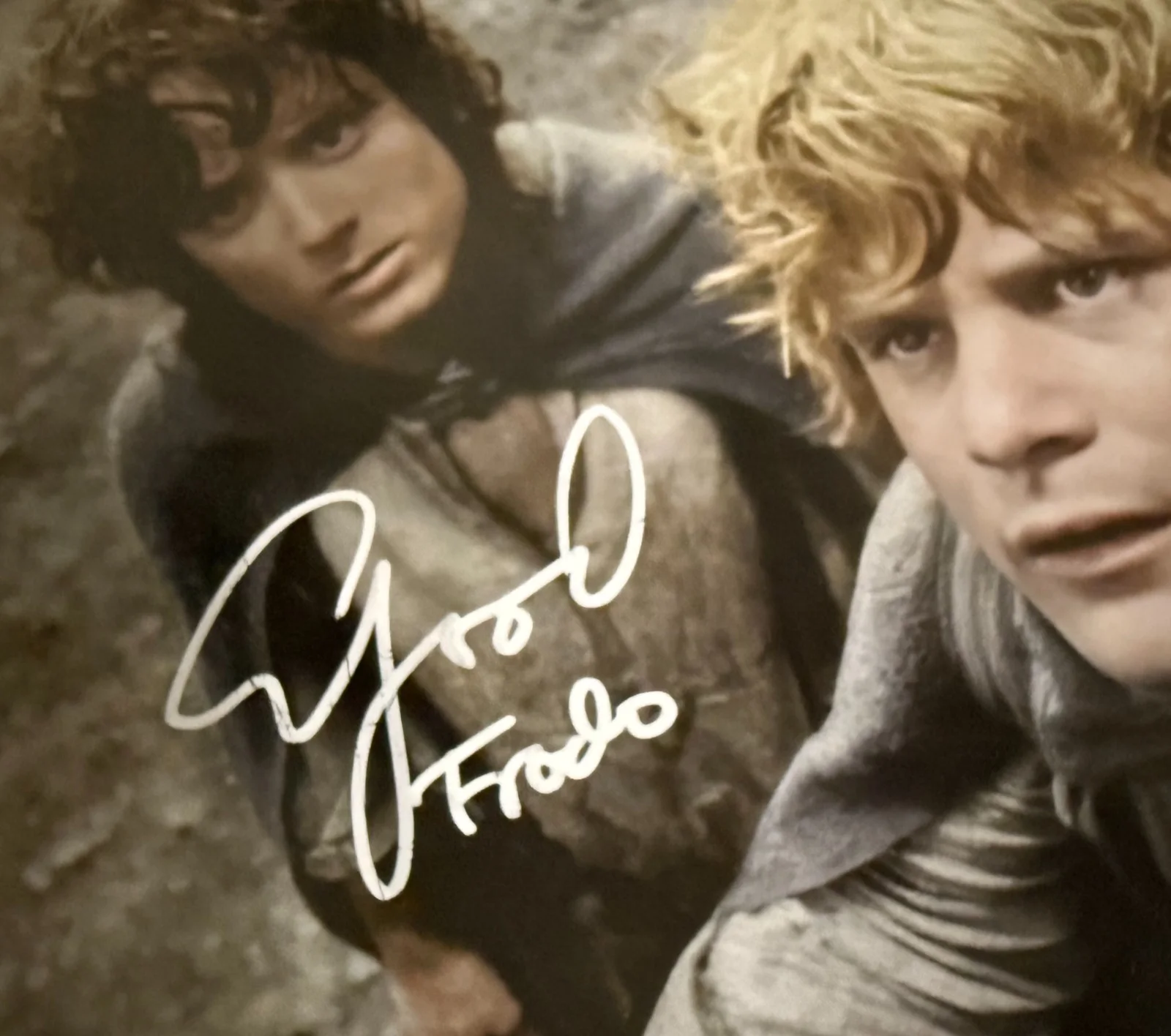~Elijah Wood 7x11 Autographed signed Photo Picture and COA~LOTR Frodo, изображение 2