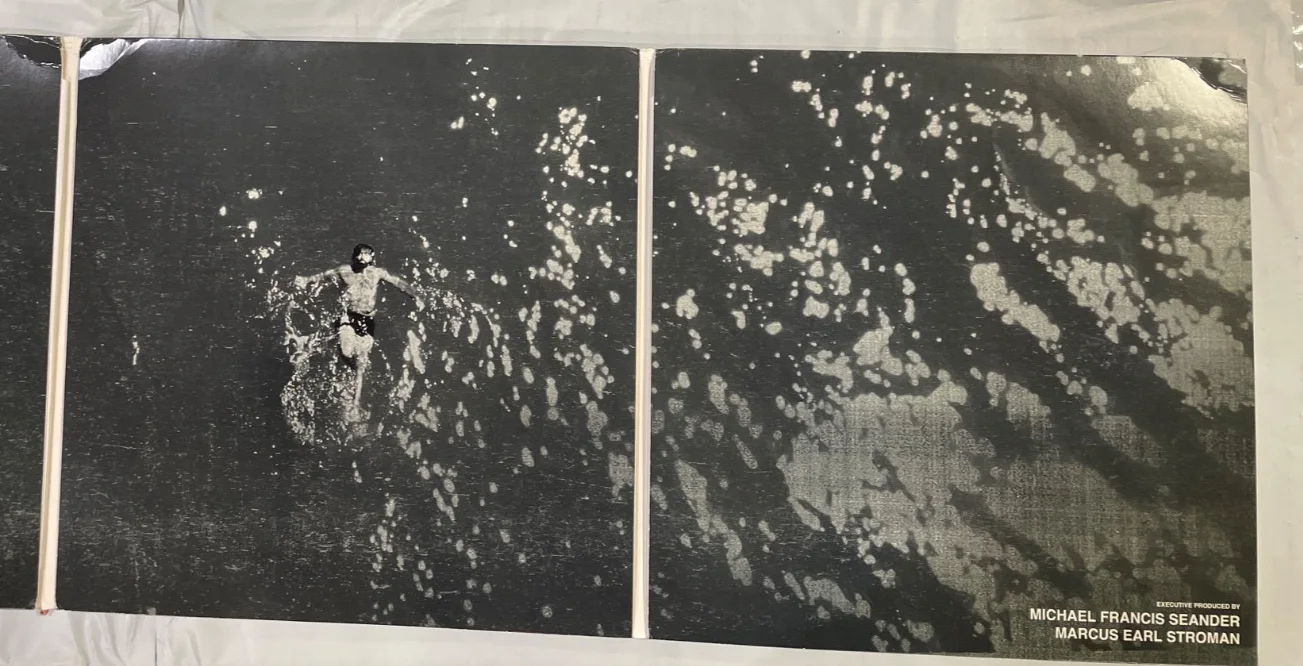 Mike. (Stud) 'THE LOWS' Autographed DOUBLE Vinyl, image 4