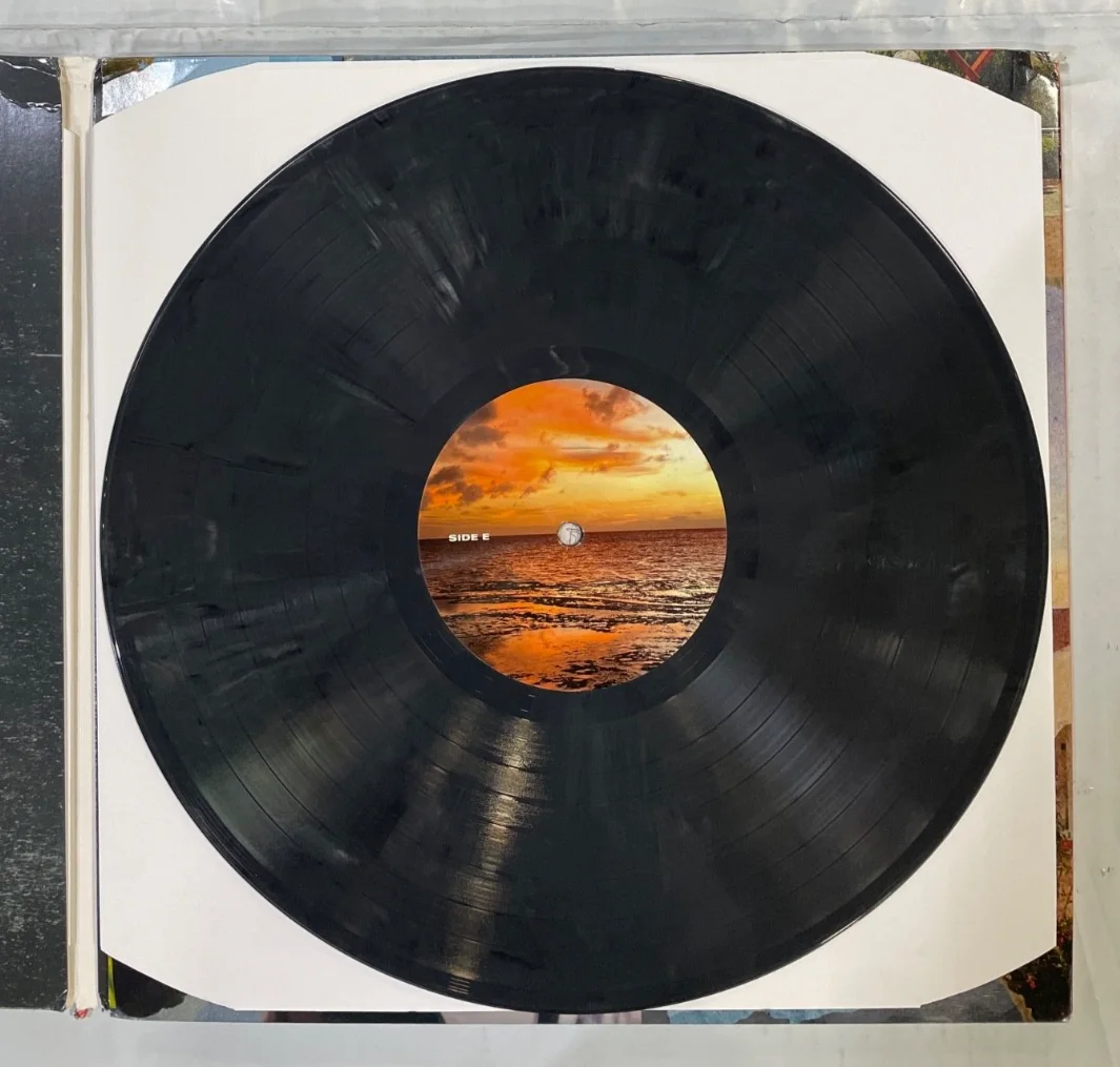 Mike. (Stud) 'THE LOWS' Autographed DOUBLE Vinyl, image 5