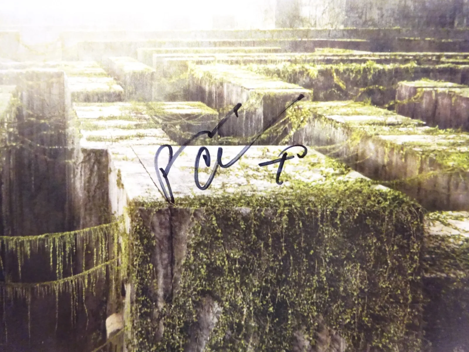 Patricia Clarkson — Signed Patricia Clarkson Autographed The Maze Runner 11"x17" Photo BAS COA, image 3
