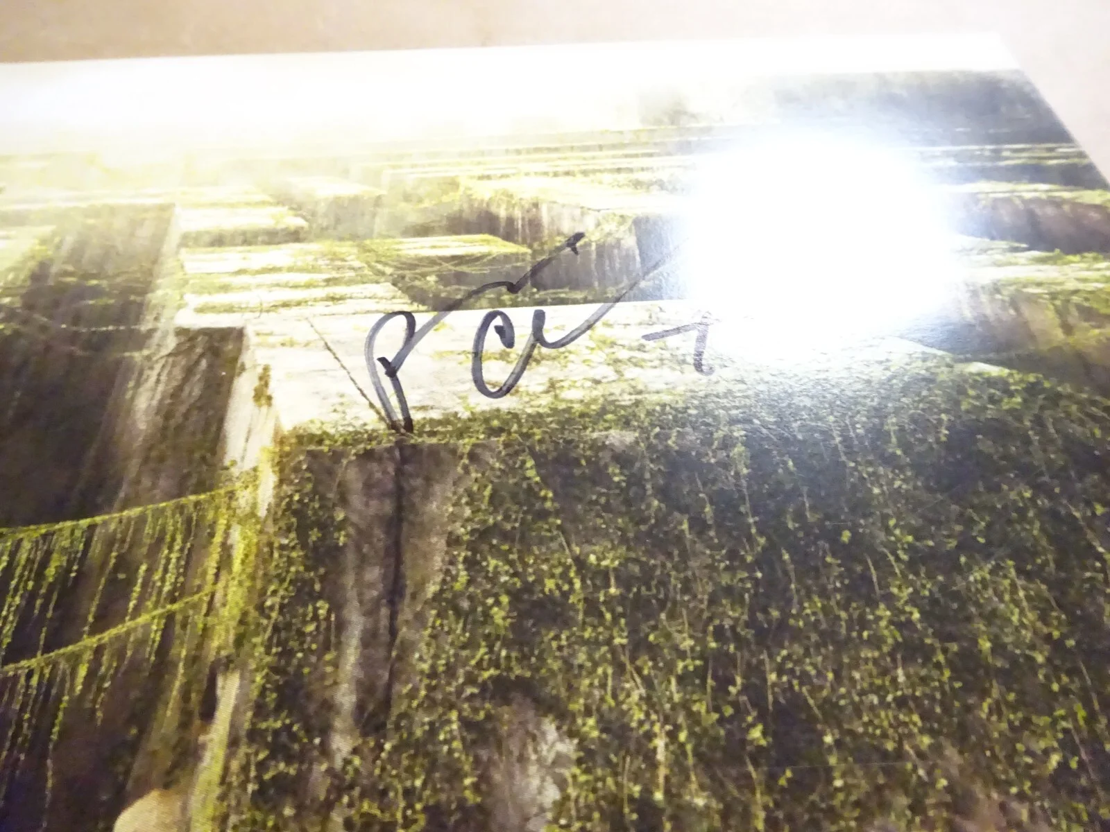 Patricia Clarkson — Signed Patricia Clarkson Autographed The Maze Runner 11"x17" Photo BAS COA, image 4