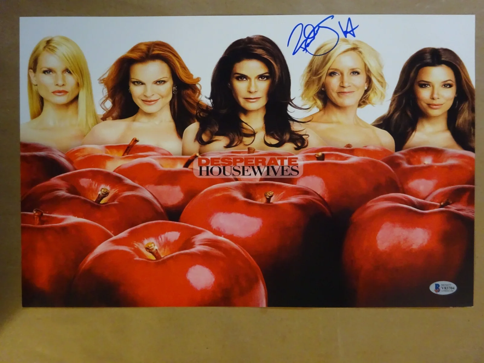 Felicity Huffman — Signed Felicity Huffman Autographed Desperate Housewives Photo 11x17 Beckett COA, изображение 2