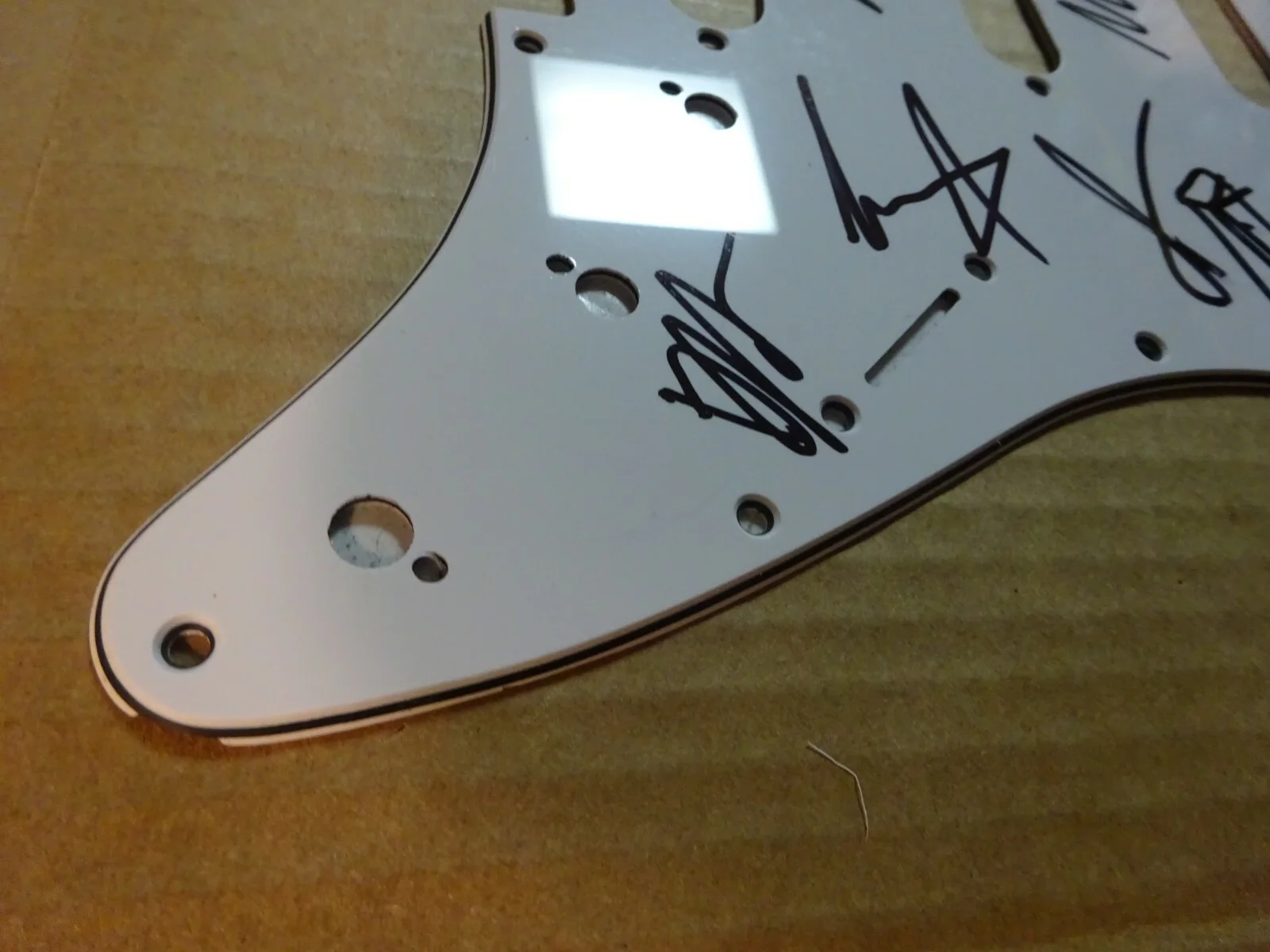 Autographed COLD WAR KIDS Signed Guitar Pick Guard Indie Rock Band All 5 Members, изображение 3