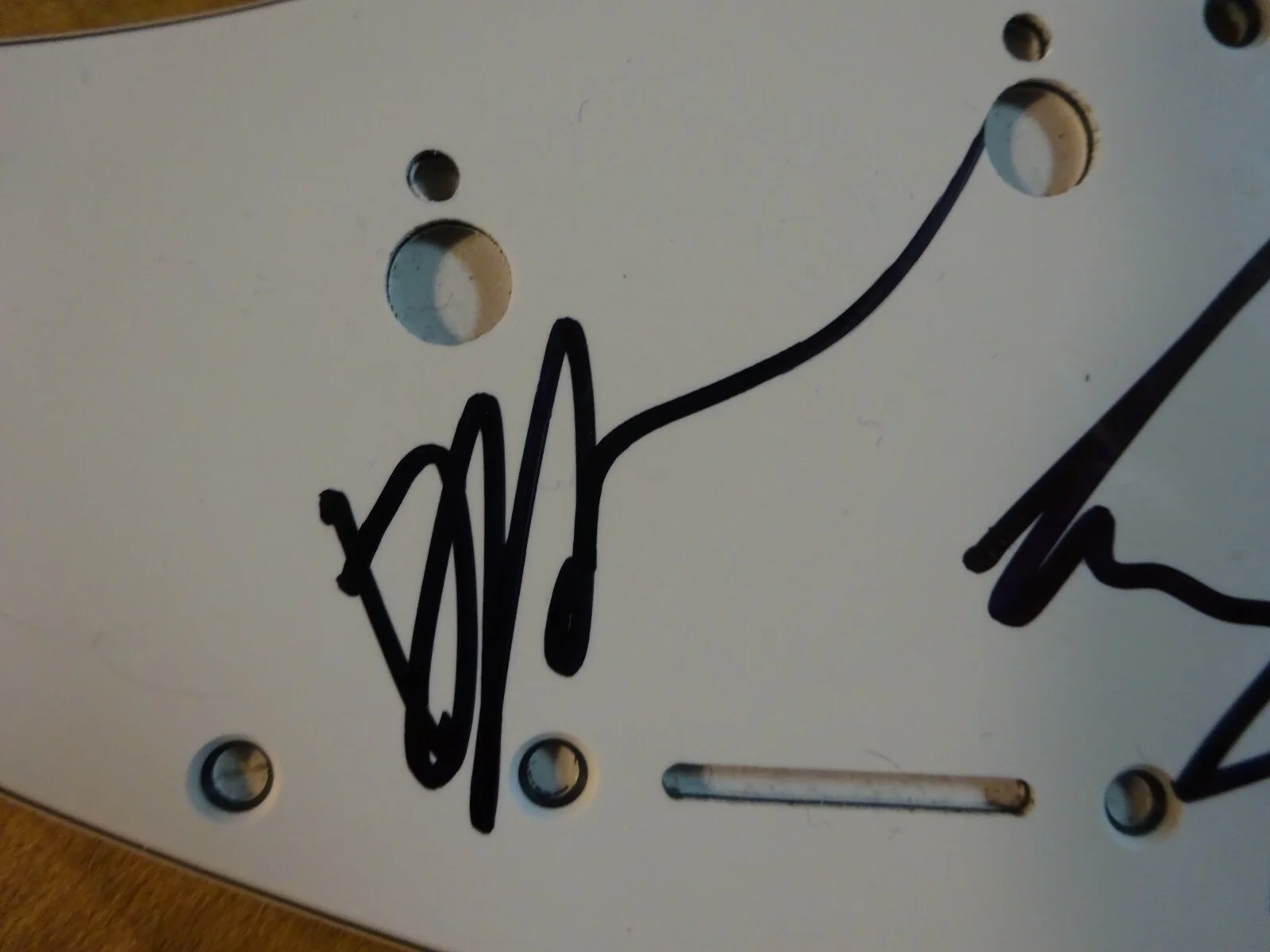 Autographed COLD WAR KIDS Signed Guitar Pick Guard Indie Rock Band All 5 Members, изображение 4