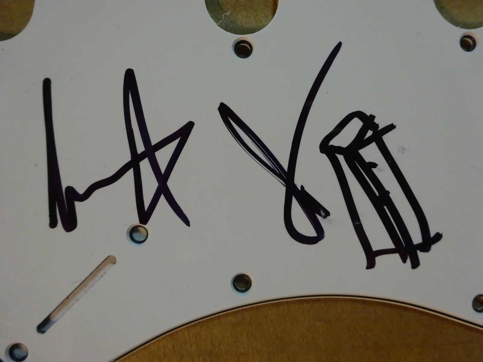 Autographed COLD WAR KIDS Signed Guitar Pick Guard Indie Rock Band All 5 Members, изображение 5