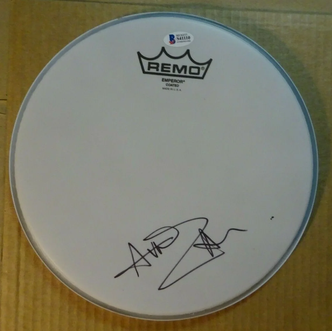 Autographed AVRIL LAVIGNE Signed 10" Drum Head Pop Singer BECKETT COA, image 2