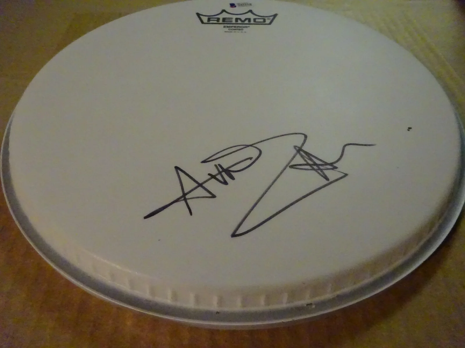 Autographed AVRIL LAVIGNE Signed 10" Drum Head Pop Singer BECKETT COA, image 5