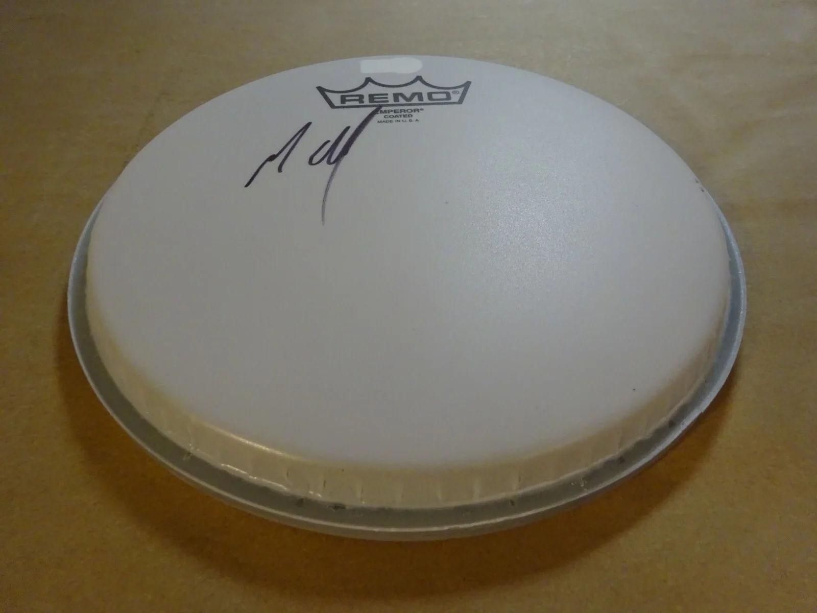 Autographed Matt Cameron Signed 8" Drumhead Pearl Jam Soundgarden Beckett COA, изображение 2