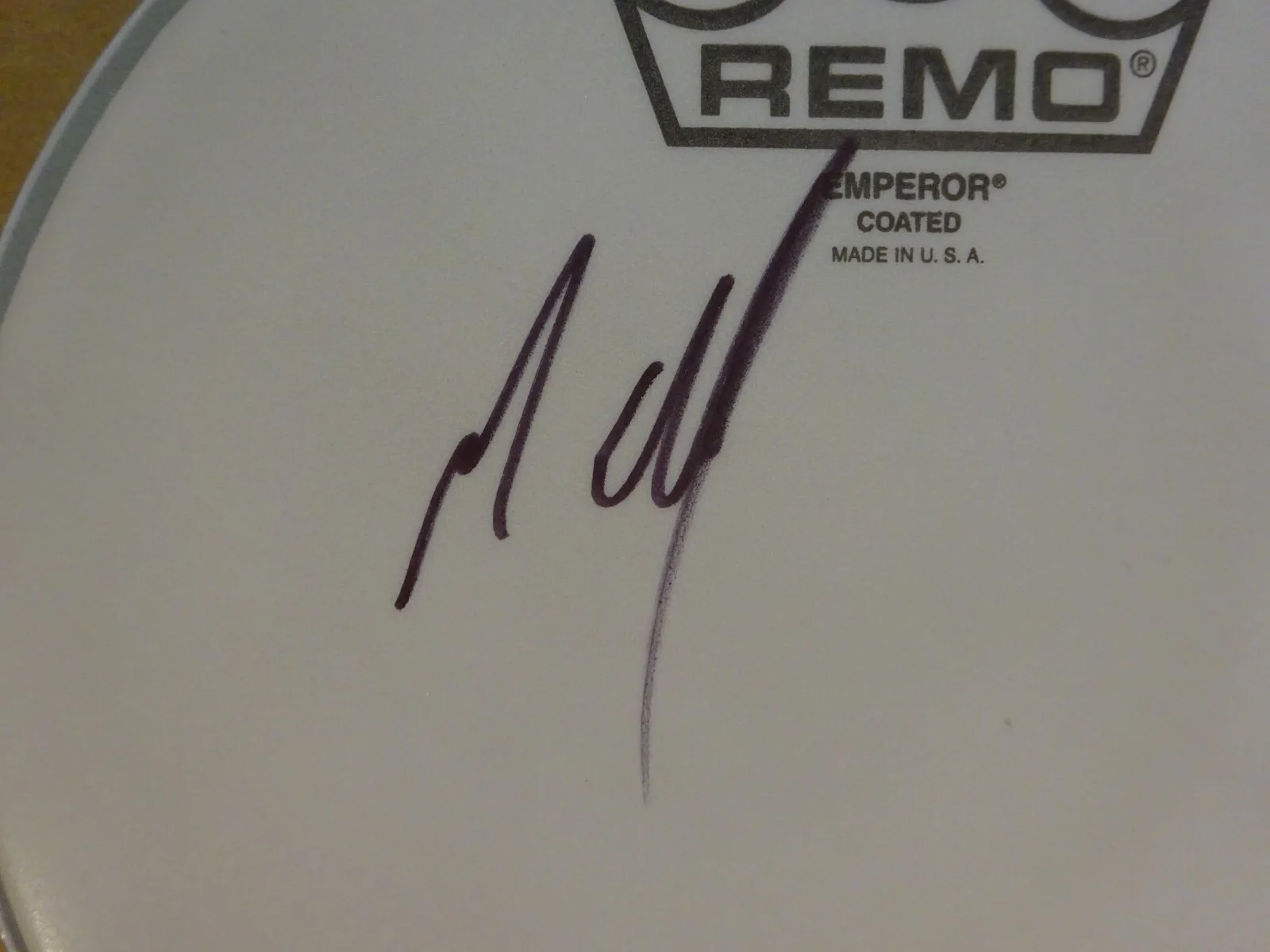 Autographed Matt Cameron Signed 8" Drumhead Pearl Jam Soundgarden Beckett COA, изображение 3