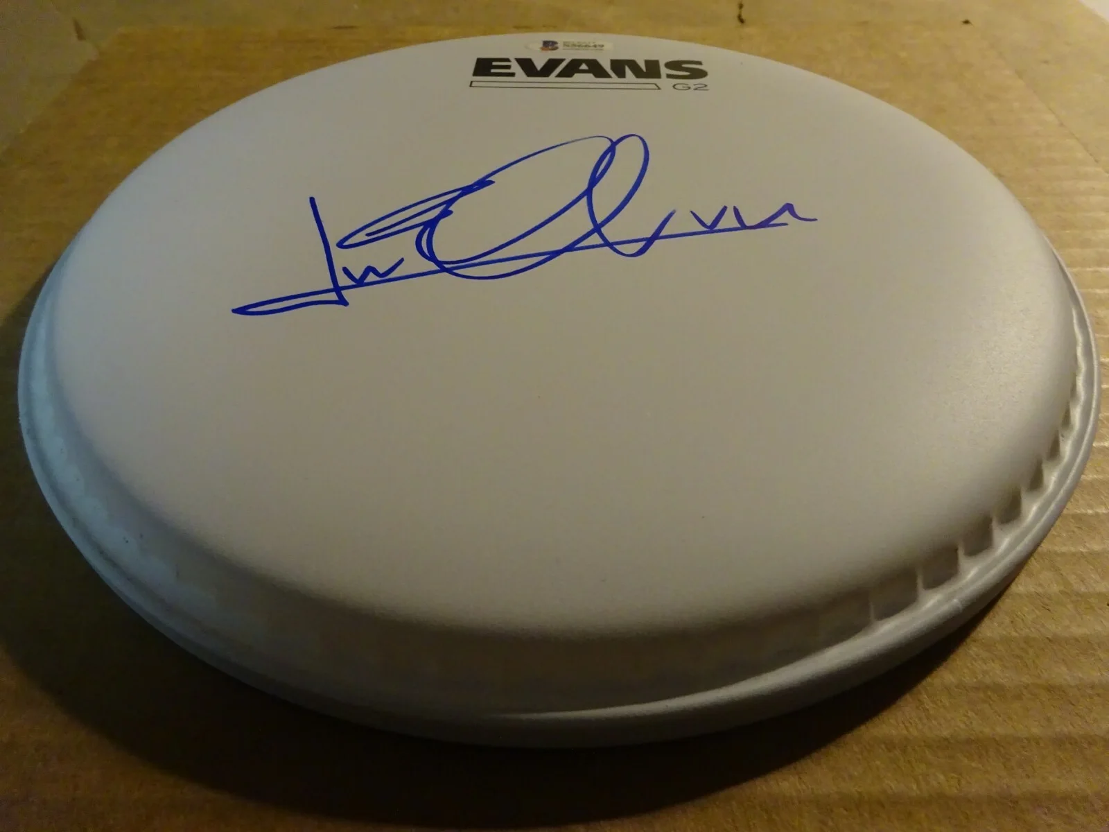 Autographed LUKE SPILLER Signed 8" Evans Drum Head The Struts Lead Singer, image 3