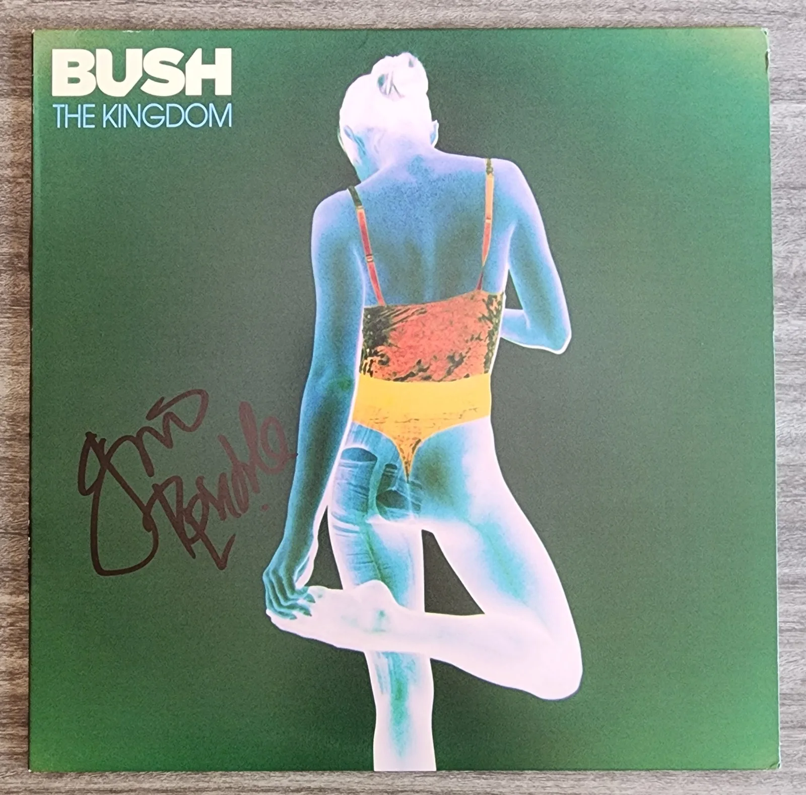 Gavin Rossdale Signed Bush - The Kingdom Vinyl Record Lead Singer RAD, image 2