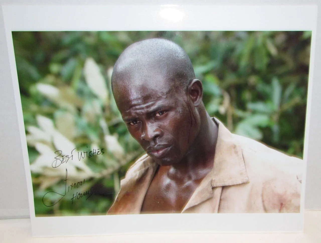 Djimon Hounsou — Djimon Hounsou Autographed Photo, Amistad, Blood Diamonds