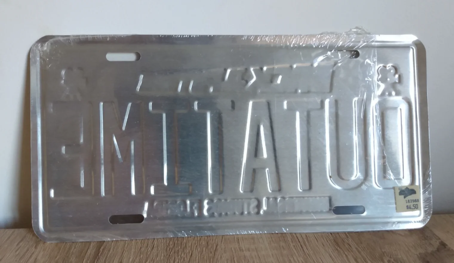 Universal Studios Florida Back To The Future Ride Licence Plate New/Part Sealed, image 3