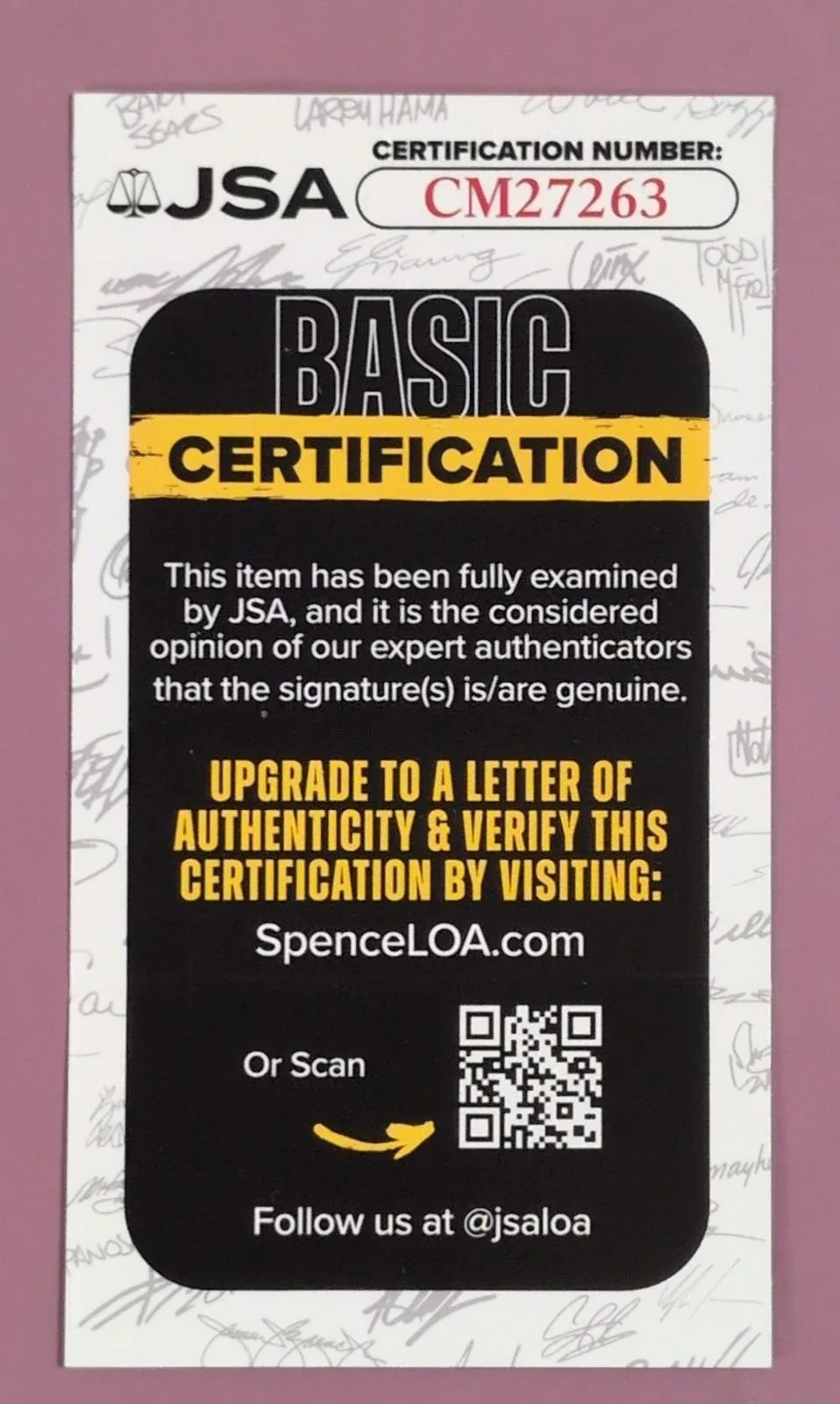 Ellen DeGeneres Autographed B&W Photo JSA Basic Certified CM27263, image 5
