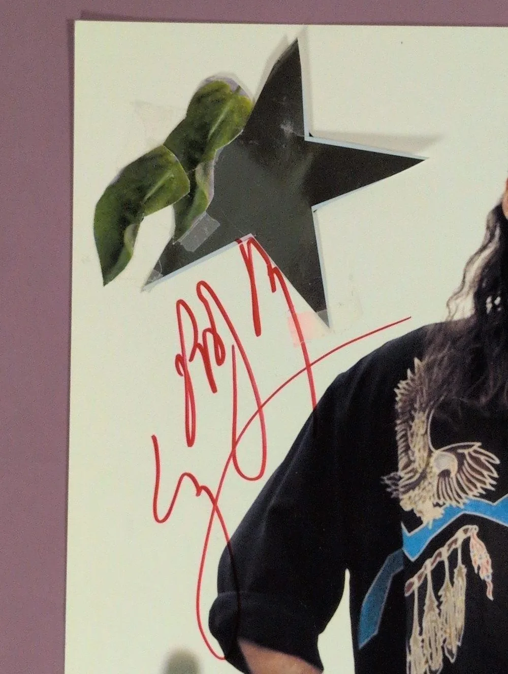 Billy Ray Cyrus Autographed Fan Club 10" x 8" Photo JSA Certified CM27262, изображение 4