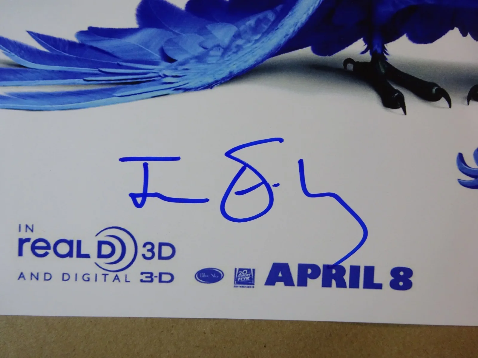 Jesse Eisenberg — Signed Jesse Eisenberg Autographed Rio 11"x17" Photo Beckett BAS COA, image 4