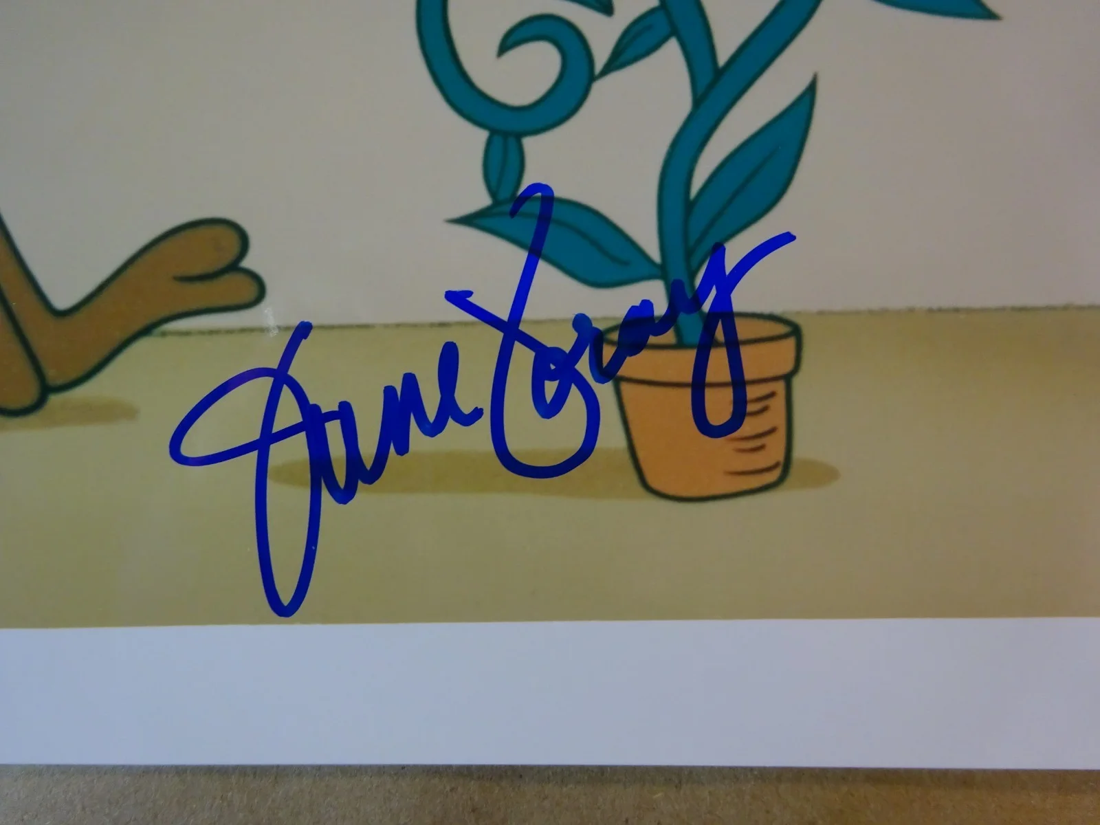 June Foray — Signed June Foray Autographed 8"x10" Photo Rocky & Bullwinkle Show Beckett COA, изображение 3