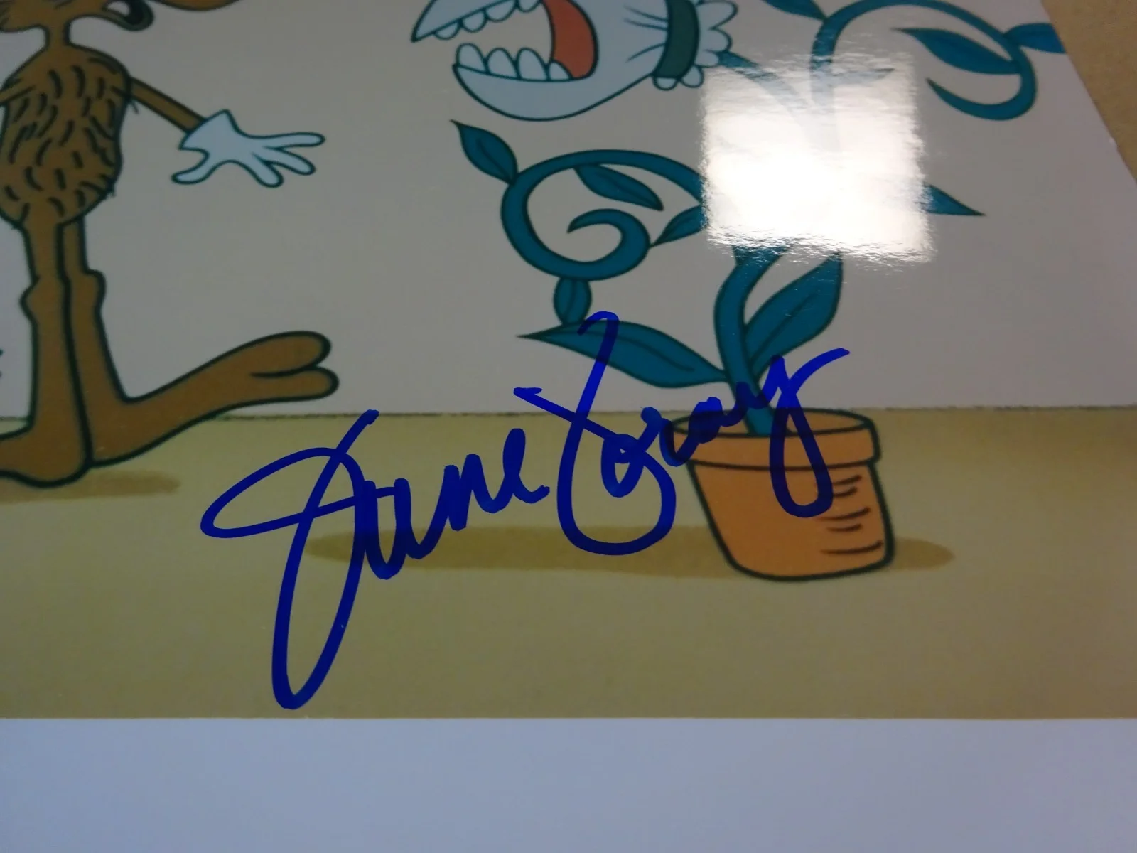 June Foray — Signed June Foray Autographed 8"x10" Photo Rocky & Bullwinkle Show Beckett COA, изображение 4