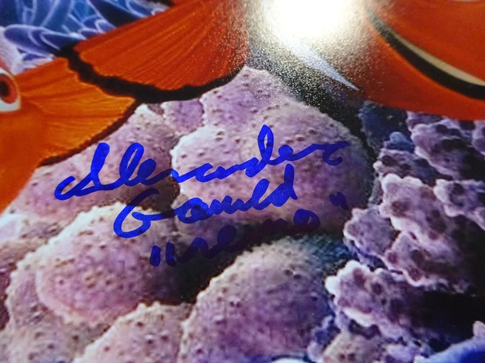 Alexander Gould — Autographed Alexander Gould Signed 8"x10" Photo Finding Nemo Beckett BAS COA, изображение 4