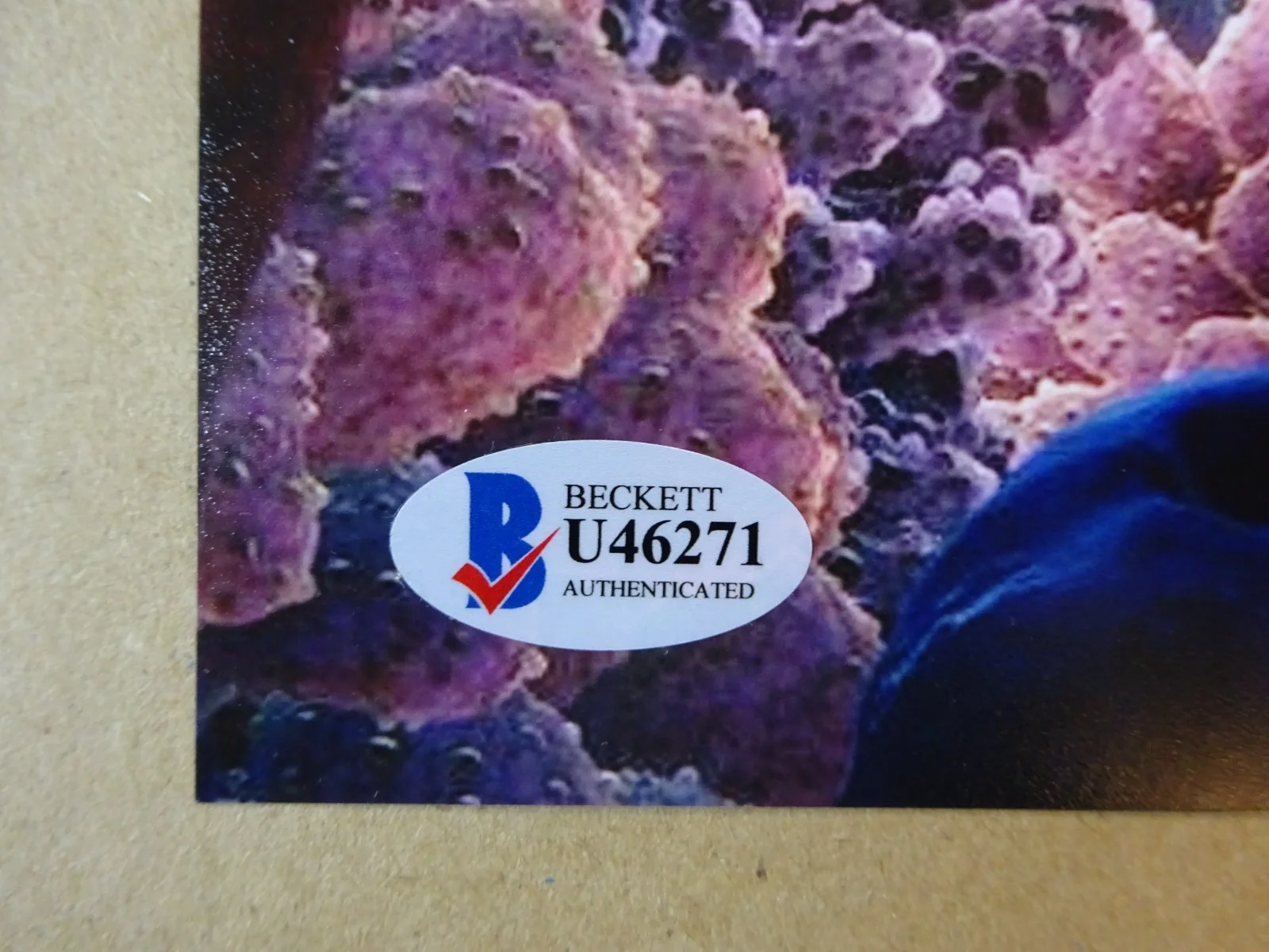 Alexander Gould — Autographed Alexander Gould Signed 8"x10" Photo Finding Nemo Beckett BAS COA, изображение 5