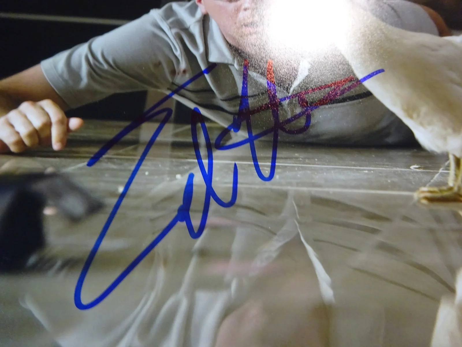 Ed Helms — Autographed Ed Helms Signed 8"x10" Photo The Hangover Beckett BAS COA, изображение 4
