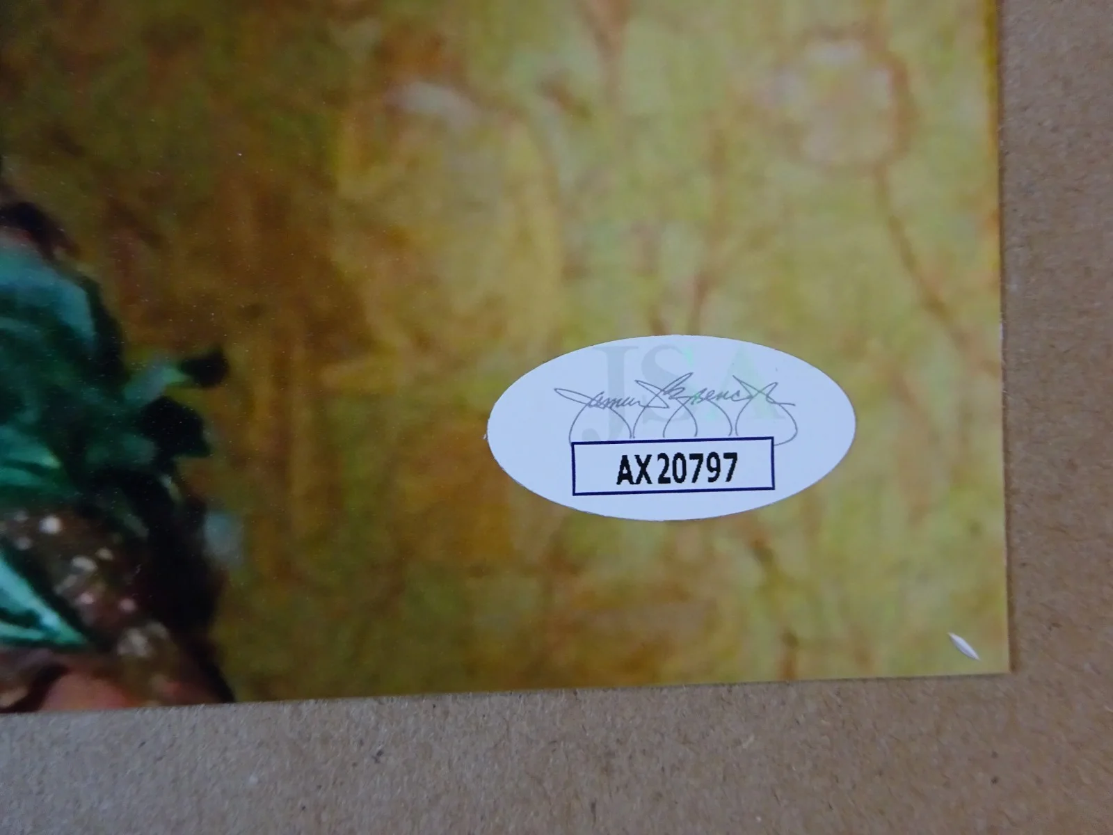 Jeremy Sumpter — Autographed Jeremy Sumpter Signed 8"x10" Photo Peter Pan JSA COA, изображение 5