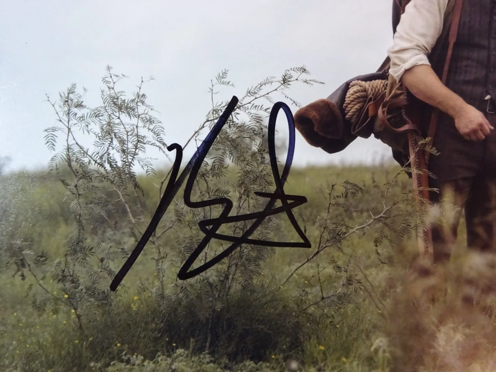 Brandon Sklenar — Autographed Brandon Sklenar Signed 8"x10" Photo Spencer Dutton 1923 JSA COA, image 3