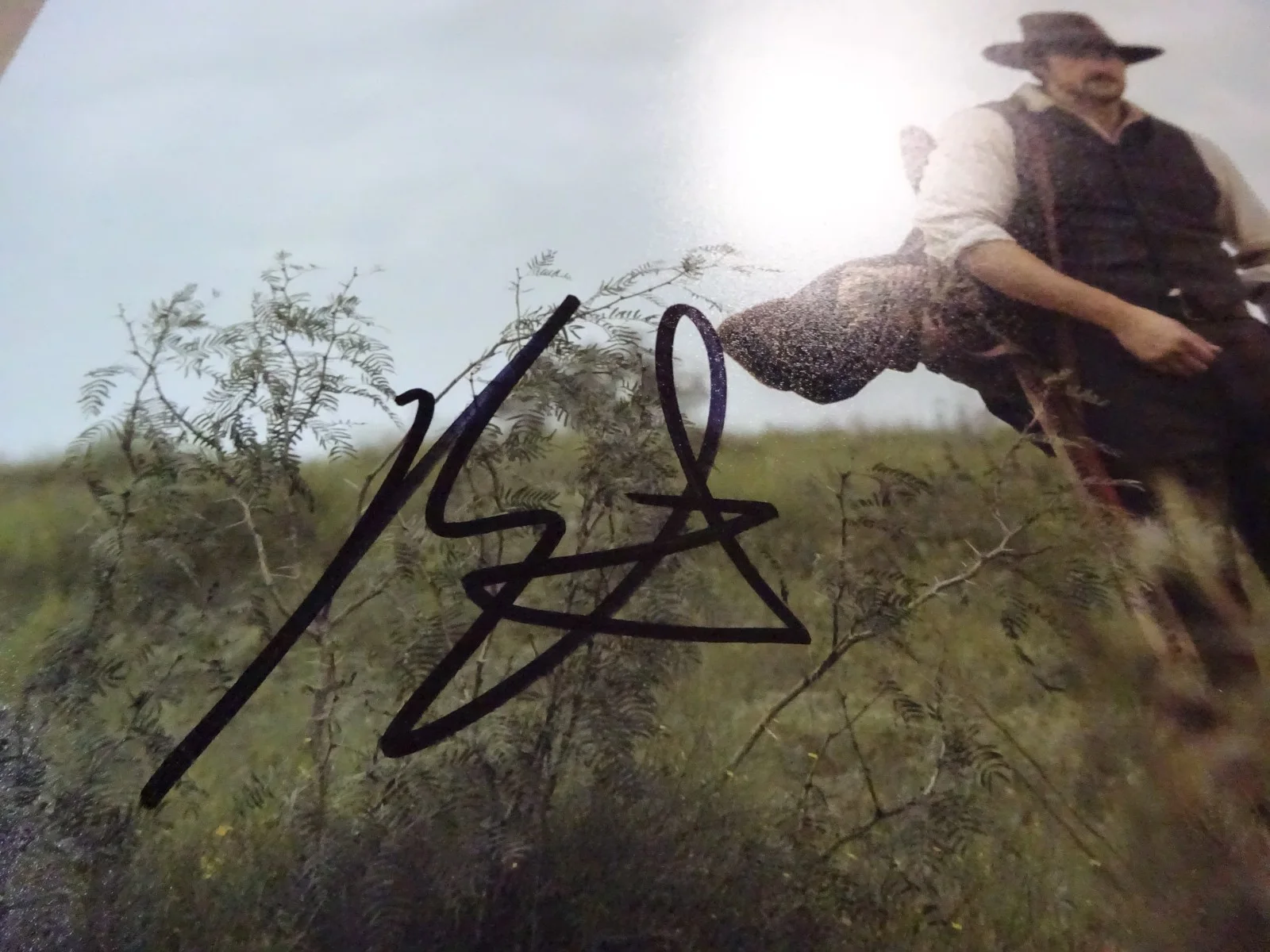 Brandon Sklenar — Autographed Brandon Sklenar Signed 8"x10" Photo Spencer Dutton 1923 JSA COA, image 4