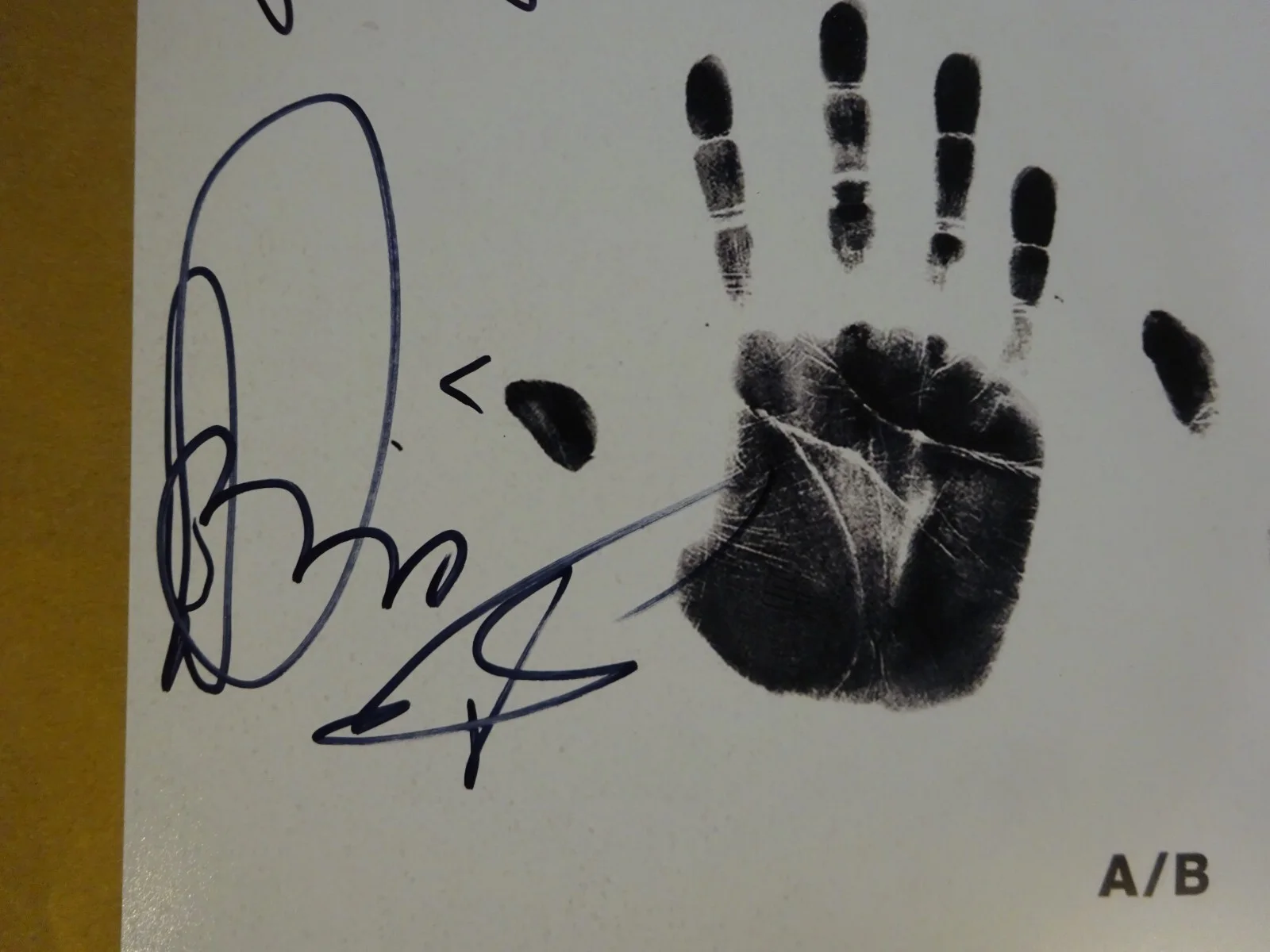 Autographed Kaleo A/B Album 12"x12" Photo Signed By 4 Beckett COA LOA BAS, изображение 5