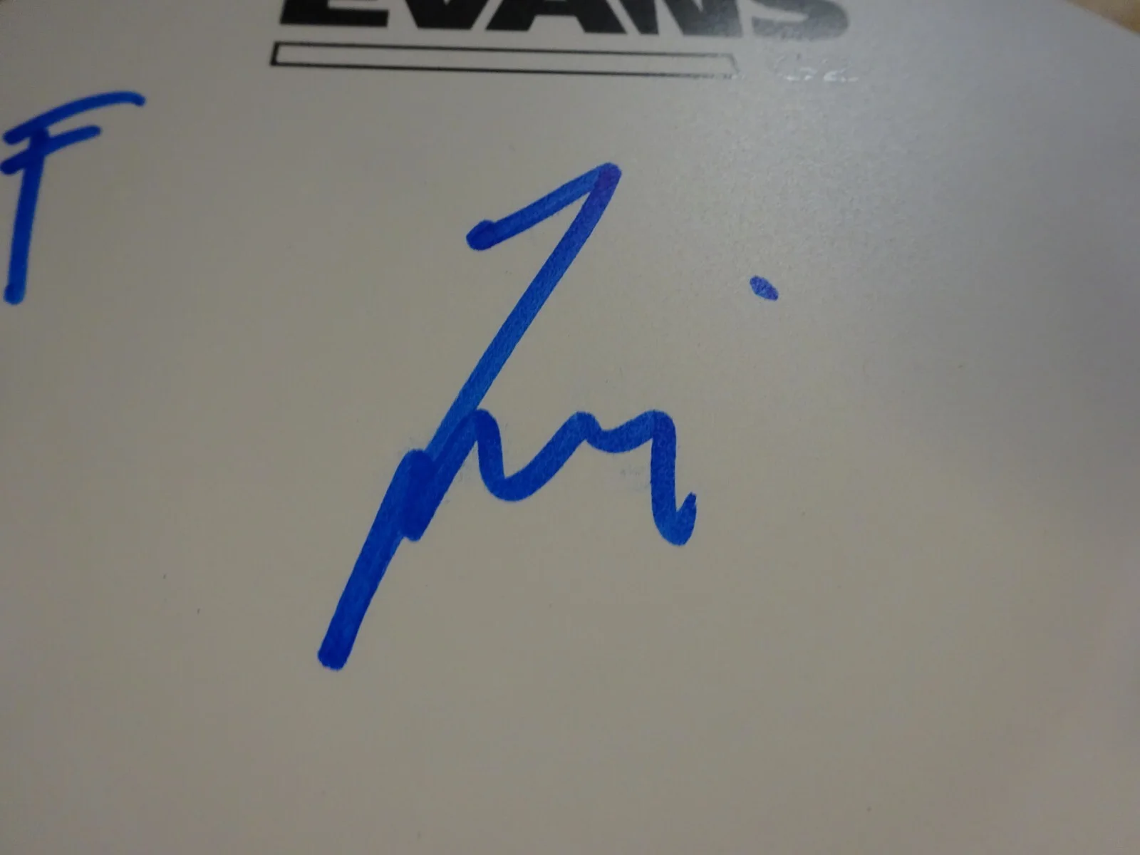 Autographed Taylor Hawkins Signed 8" Drum Head Foo Fighters Beckett BAS COA, image 5