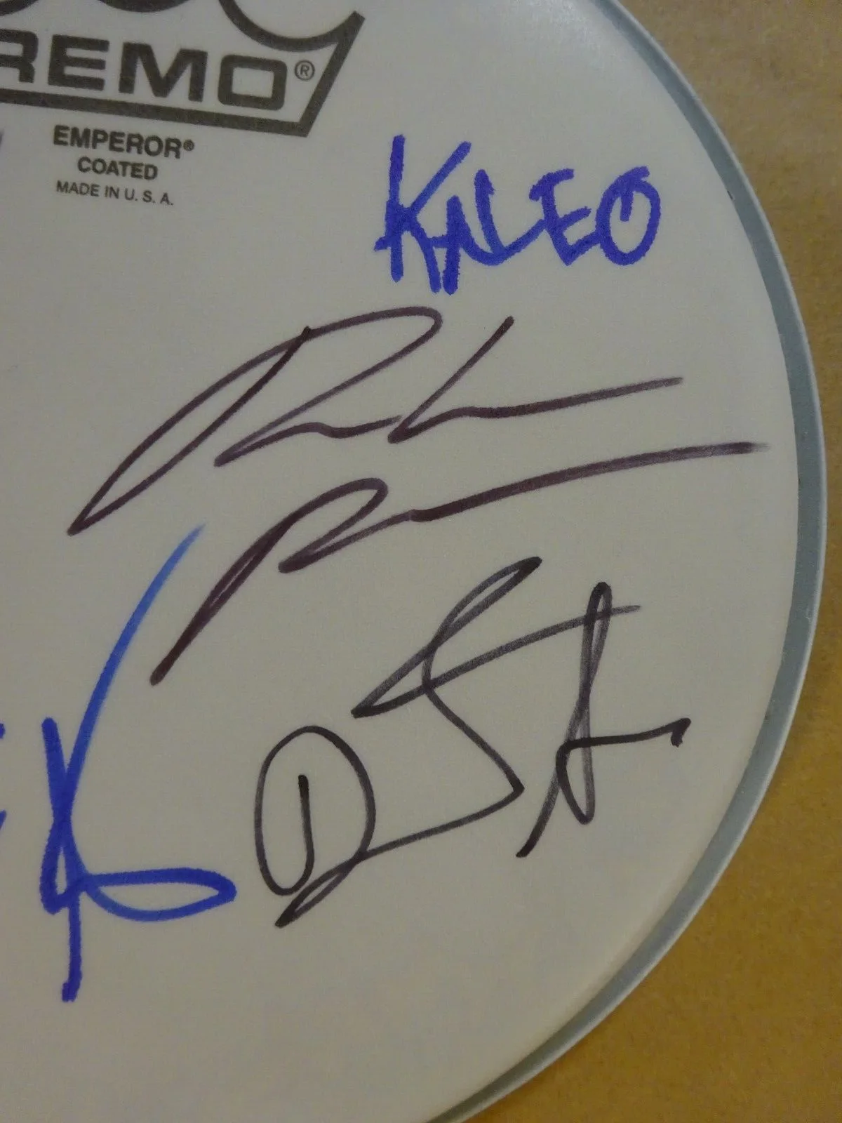 Autographed Kaleo 8" Drumhead Signed By 4 Beckett COA LOA BAS Complete, image 5