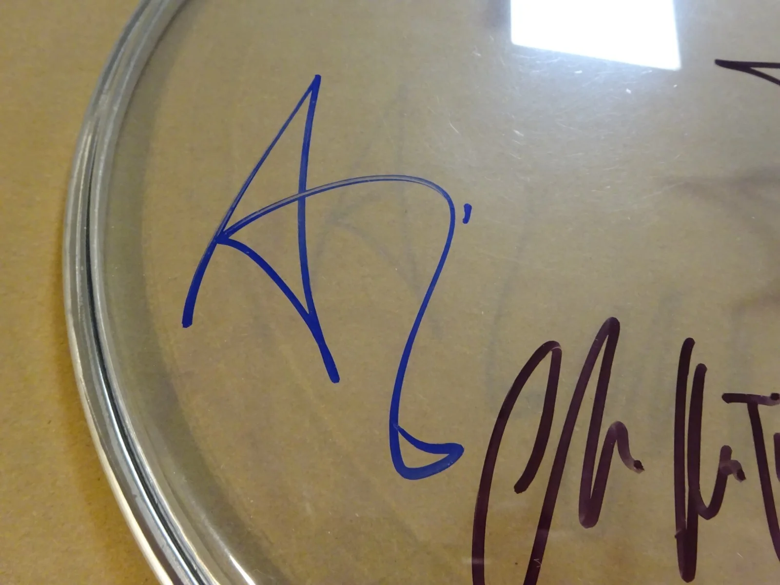 Autographed THE WAR ON DRUGS Drum Head Signed By 4 BECKETT BAS LOA COA, изображение 3