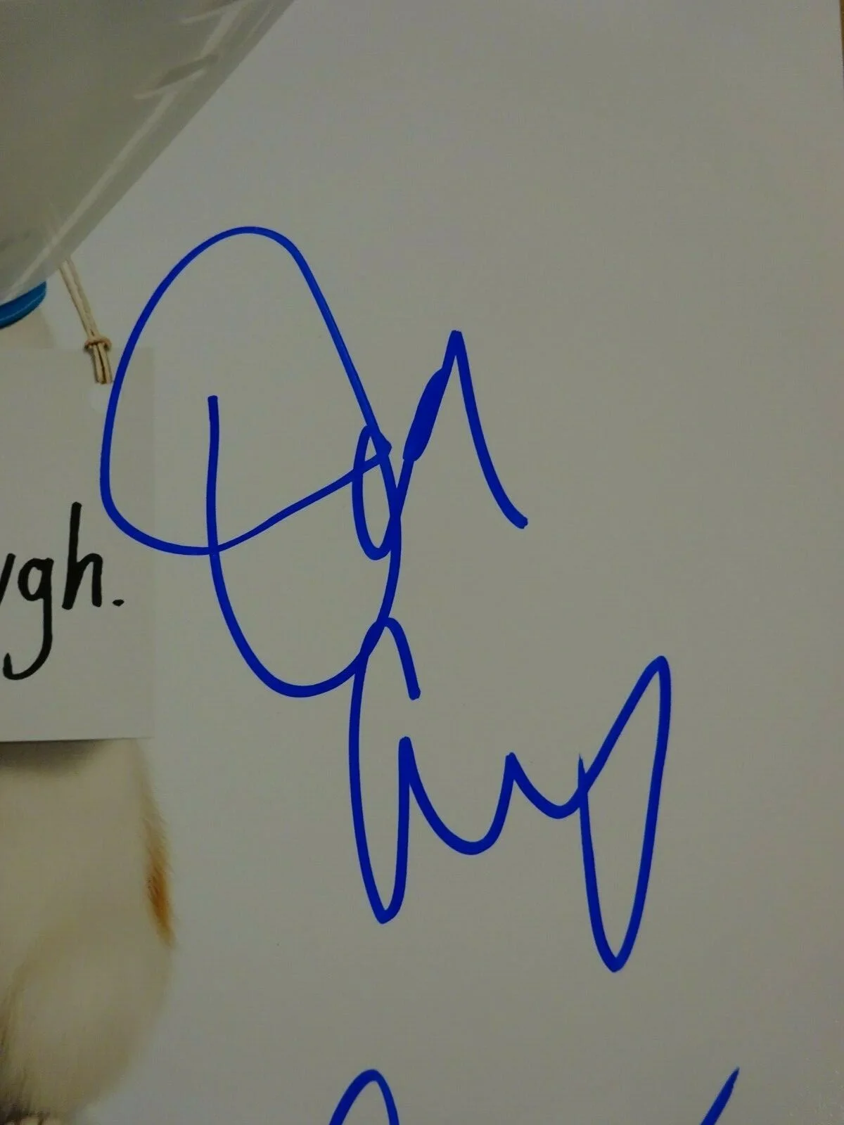 Dana Carvey, Eric Stonestreet, Pete Holmes — Signed SECRET LIFE OF PETS 2 Autographed By 3 12"x18" Photo BECKETT LOA COA, изображение 5
