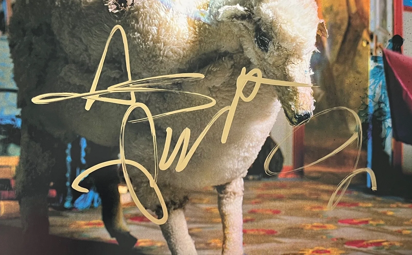 FALL OUT BOY X4 PETE WENTZ SIGNED INFINITY ON HIGH VINYL RECORD PROOF + JSA COA, image 4