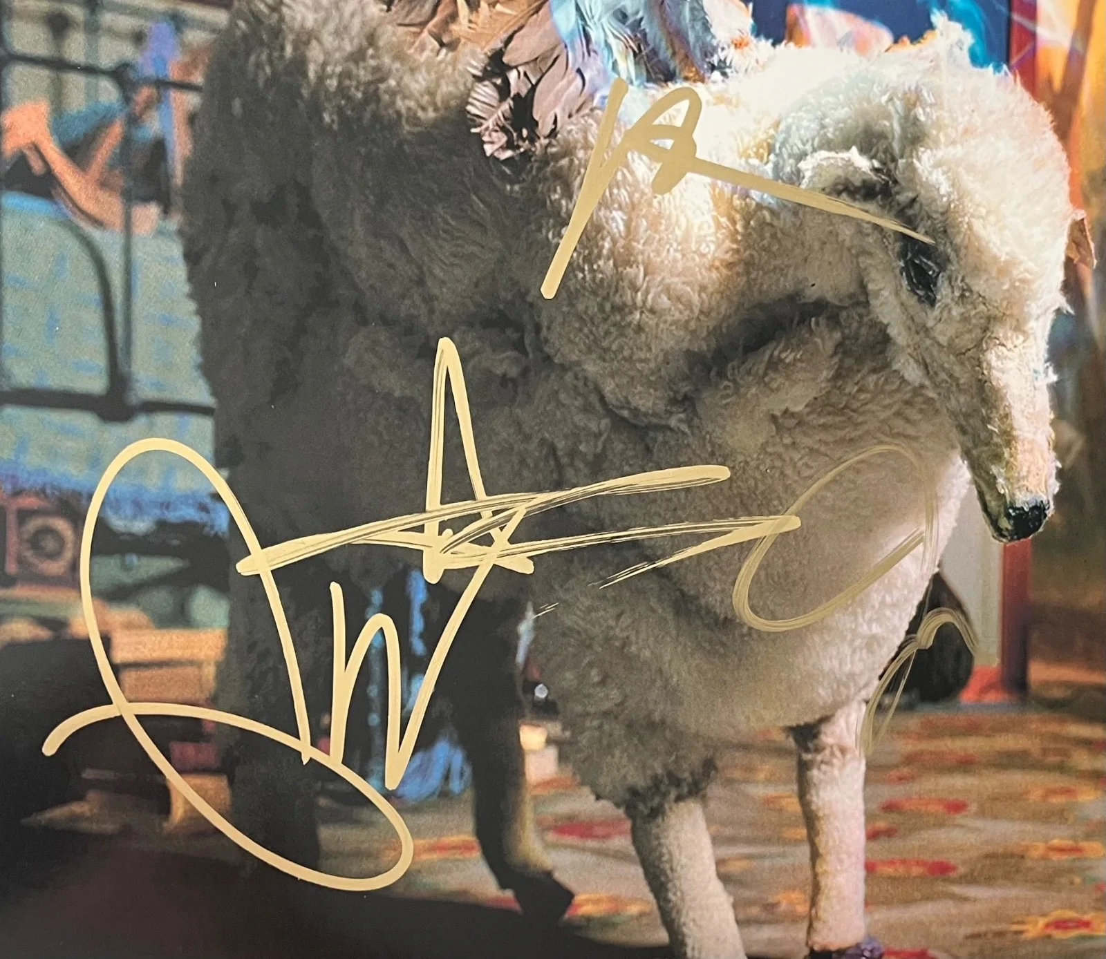 FALL OUT BOY X4 PETE WENTZ SIGNED INFINITY ON HIGH VINYL RECORD PROOF + JSA COA, image 4