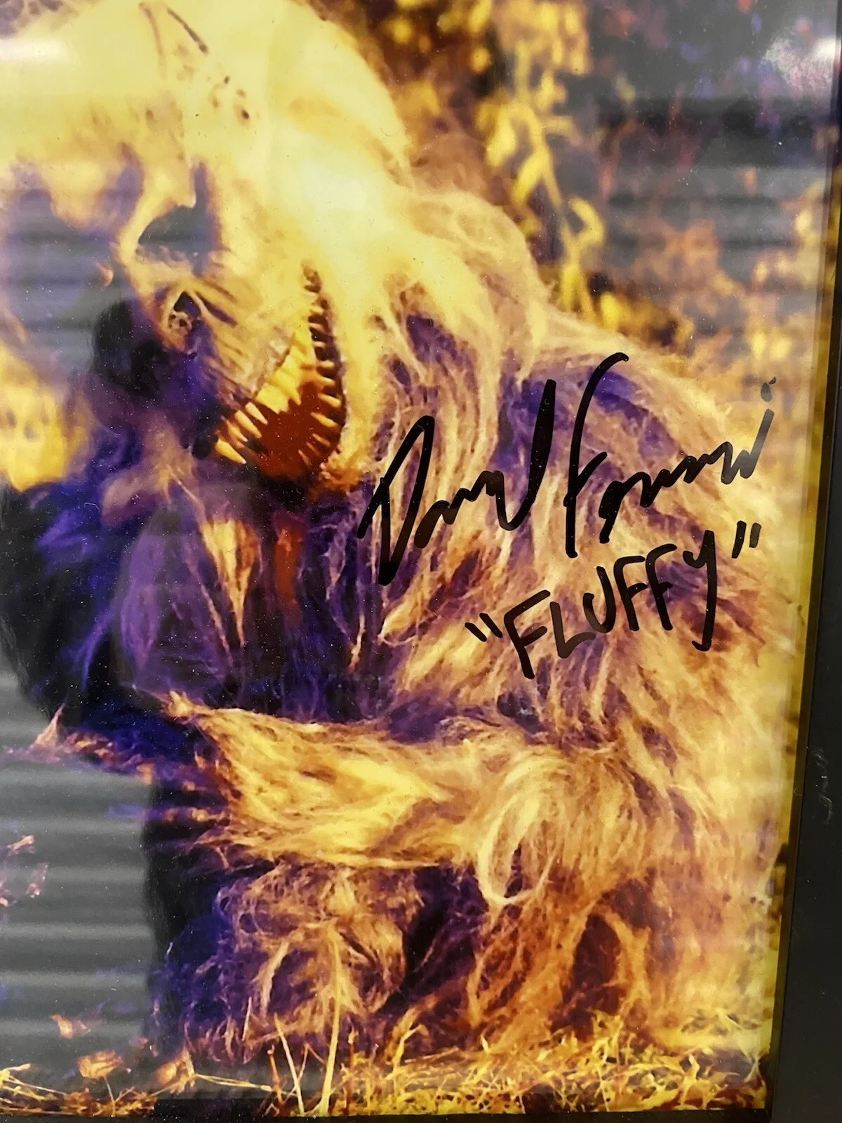 Darryl Ferrucci — Darryl Ferrucci Creepshow Fluffy Autograph Hand Signed 8x10 Photo No COA, image 2