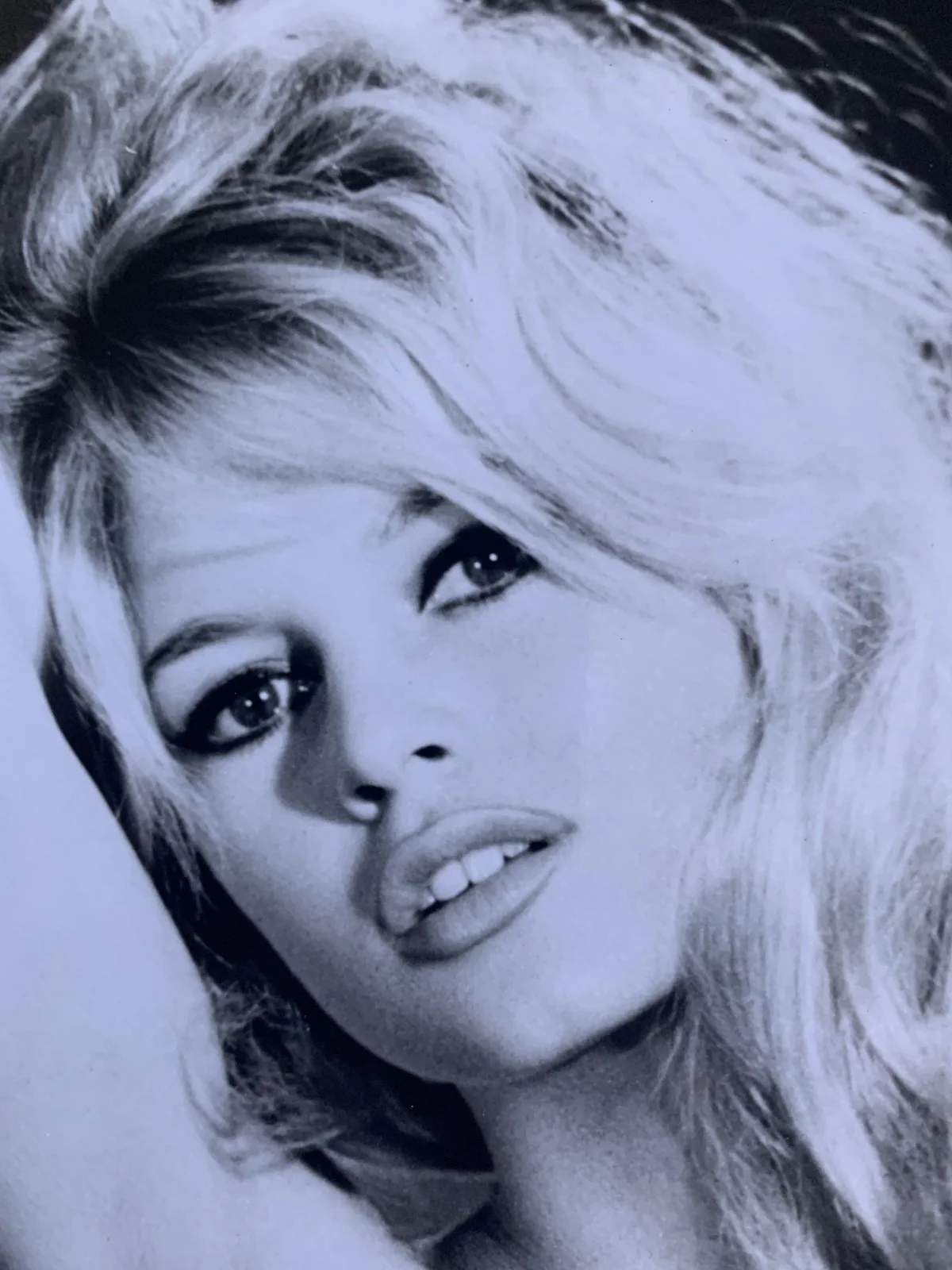 Brigitte Bardot 8x10 Vintage Style Black & White Portrait of Legendary Star, изображение 2