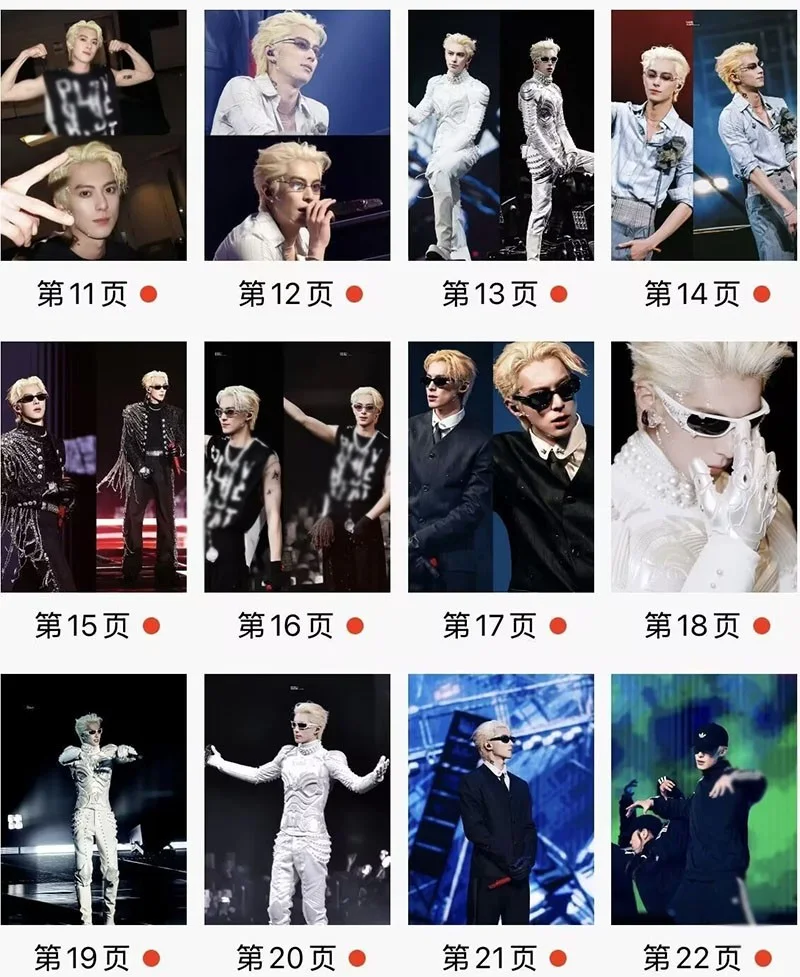 Dylan Wang Hedi 王鹤棣 澳门演唱会 Album Photo Books Photobook, изображение 3