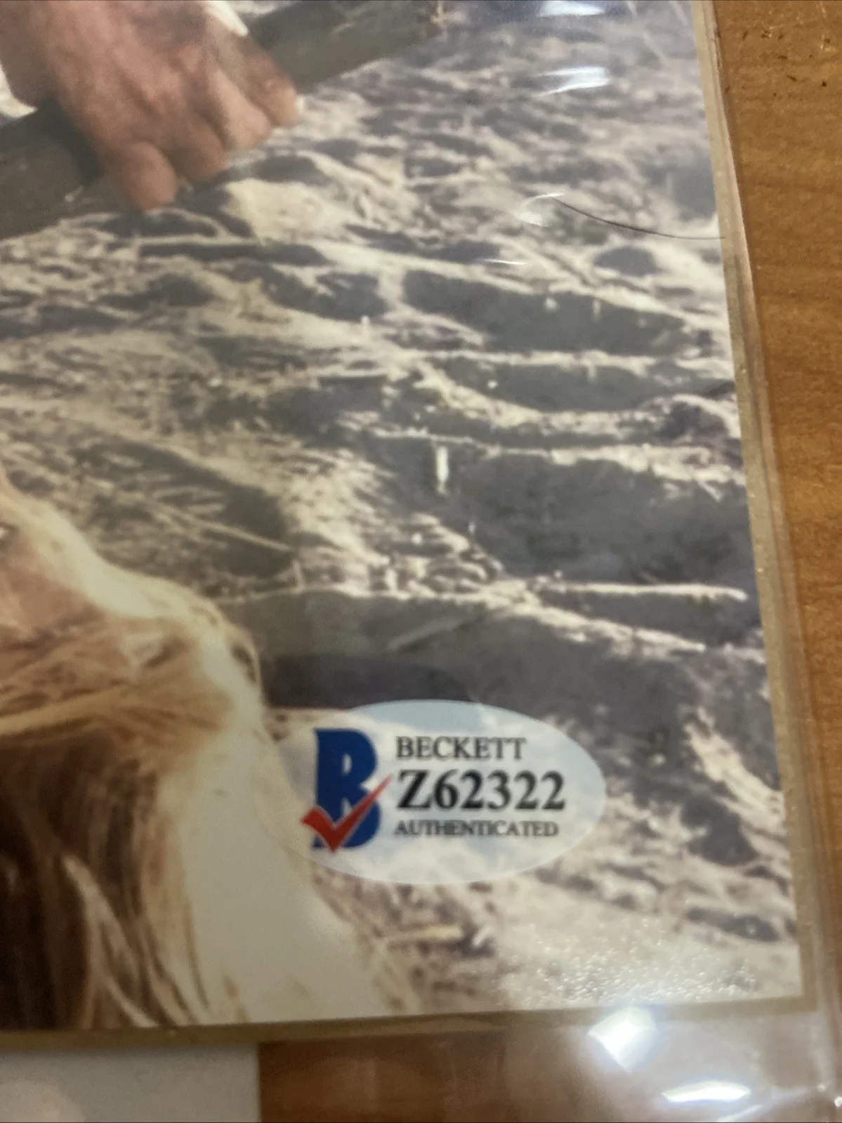 Lew Temple — Lew Temple “Adam Banjo” The Devil’s Rejects Signed 8x10 Beckett Authenticated, image 4