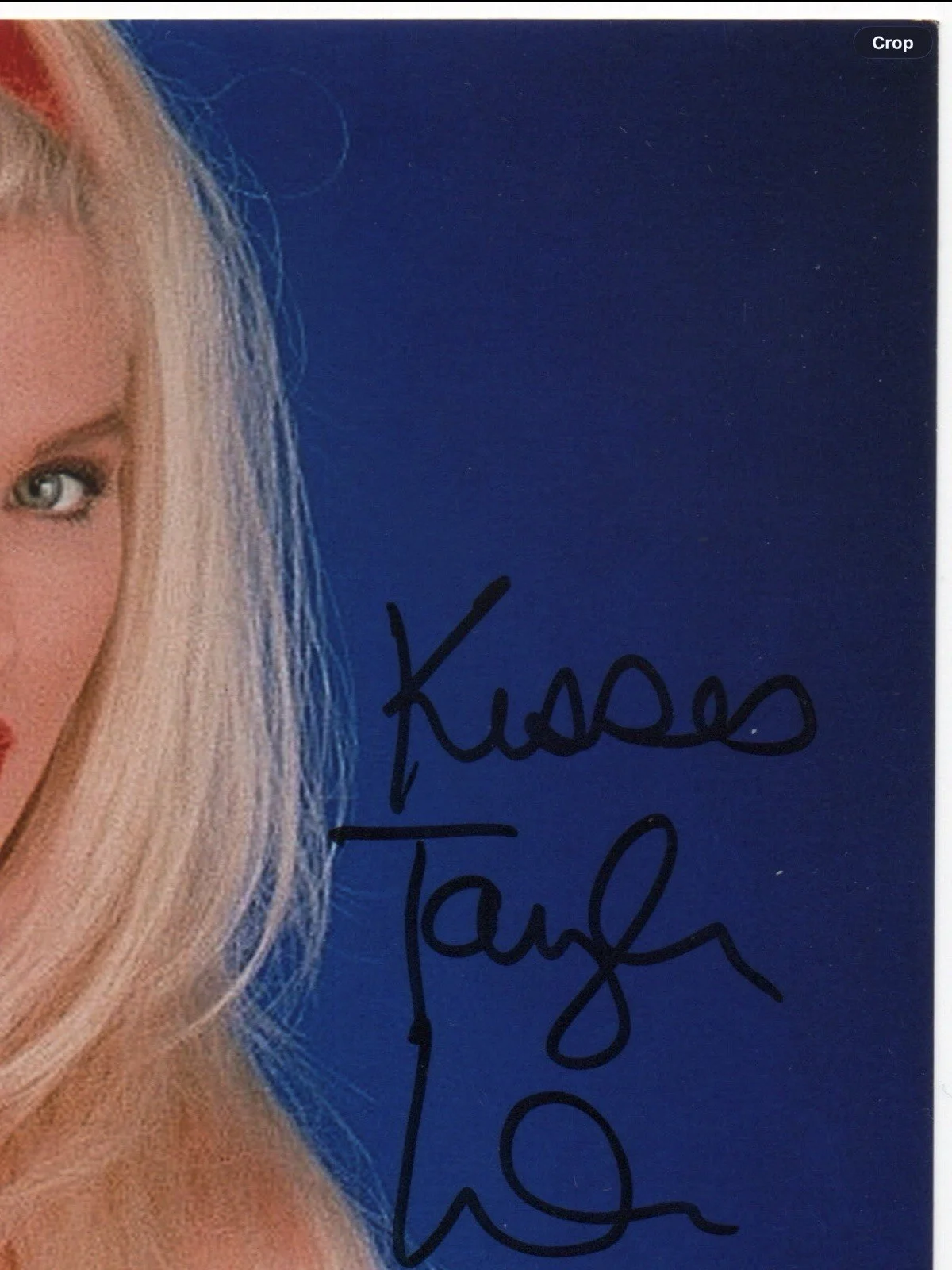 Taylor Wane — Taylor Wane signed autograph 8x10 Photo No COA Pass BAS PSA JSA Sexy Hot *INR, image 2