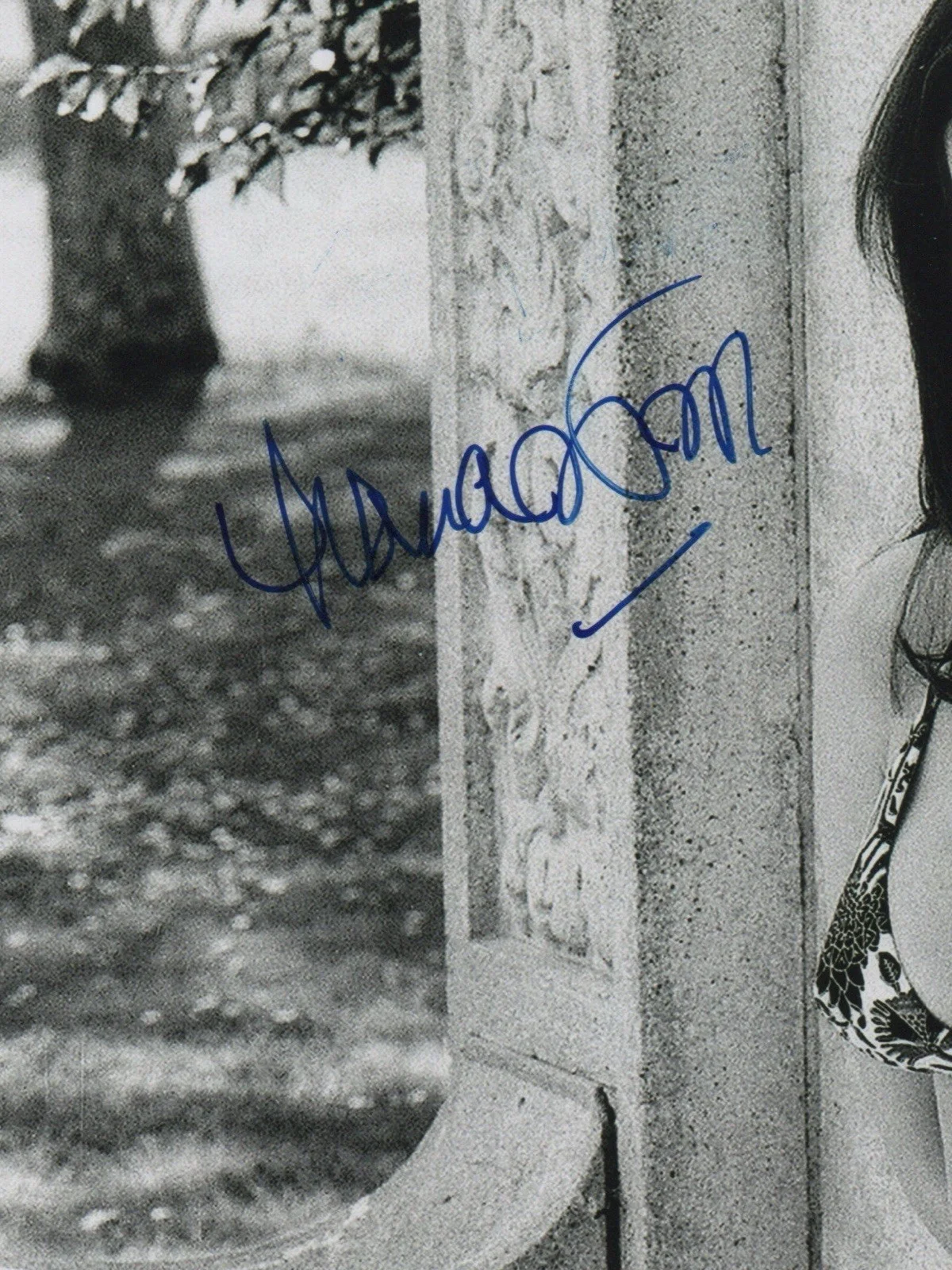 Lana Wood — Lana Wood signed autograph 8x10 Photo No COA Pass BAS PSA JSA Hot Sexy Bond *INR, image 2