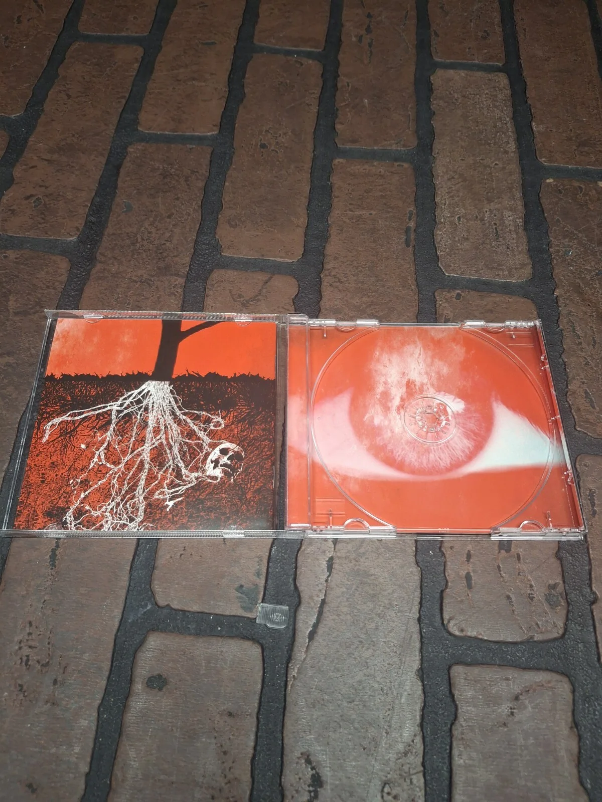 The Bloodline We Are One Signed Cd Case, image 2