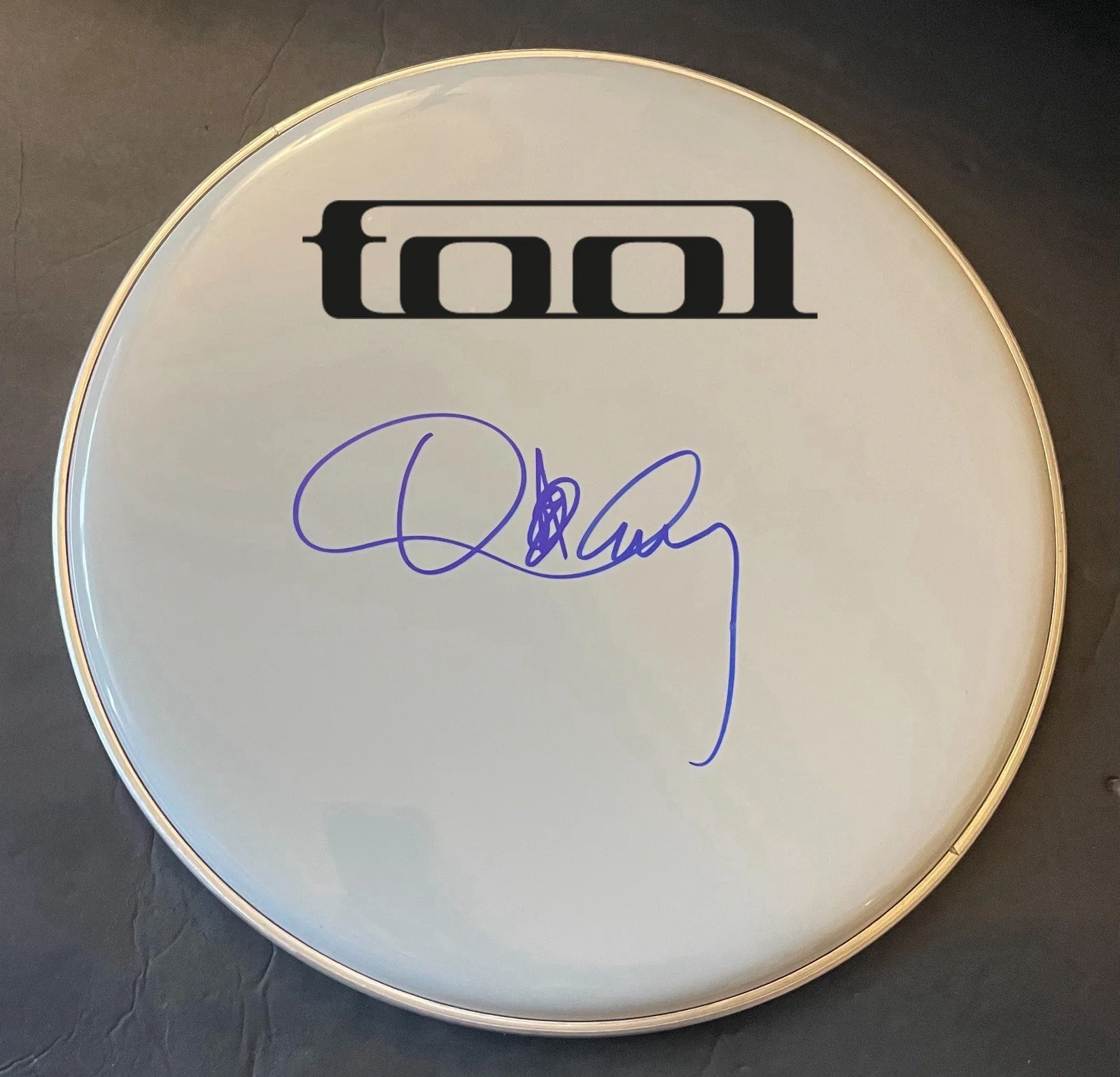 Danny Carey Tool Signed 16” Drumhead Rare, image 2