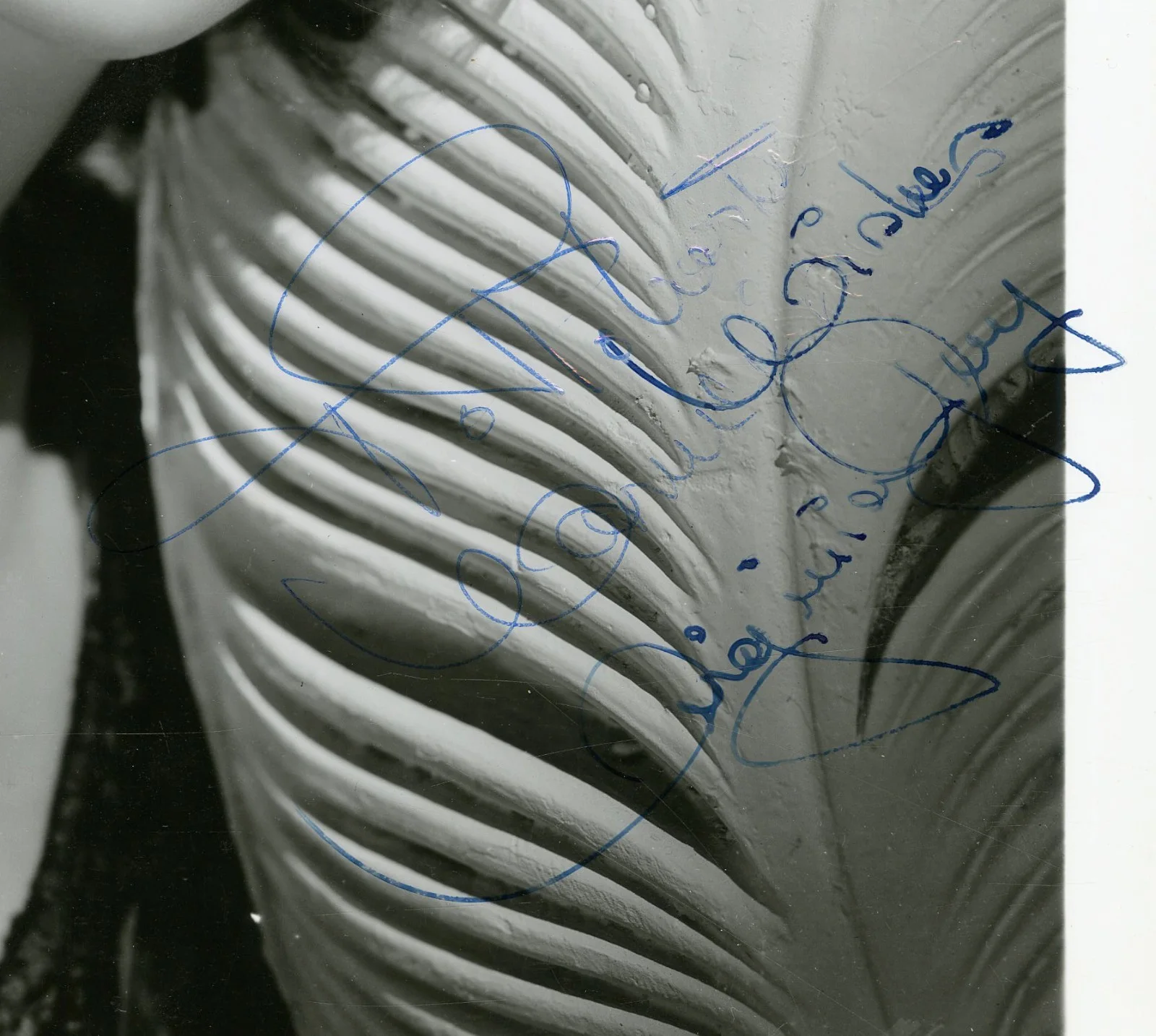 Virginia Grey — Virginia Grey Washington Melodrama 1941 Signed Original Vintage Photograph, image 2
