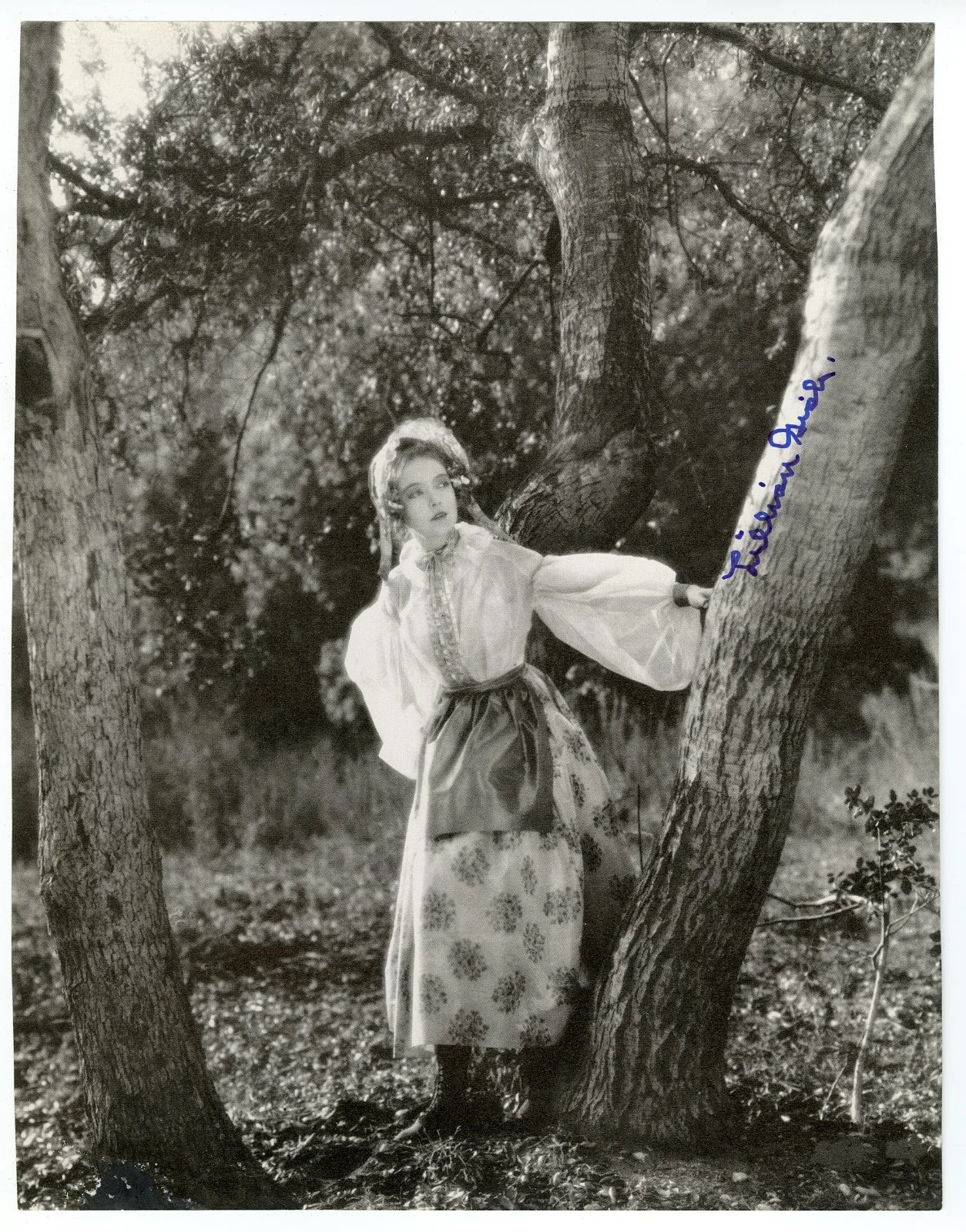 Lillian Gish — Lillian Gish Group 4 Signed Vintage Photographs Autographed, image 3
