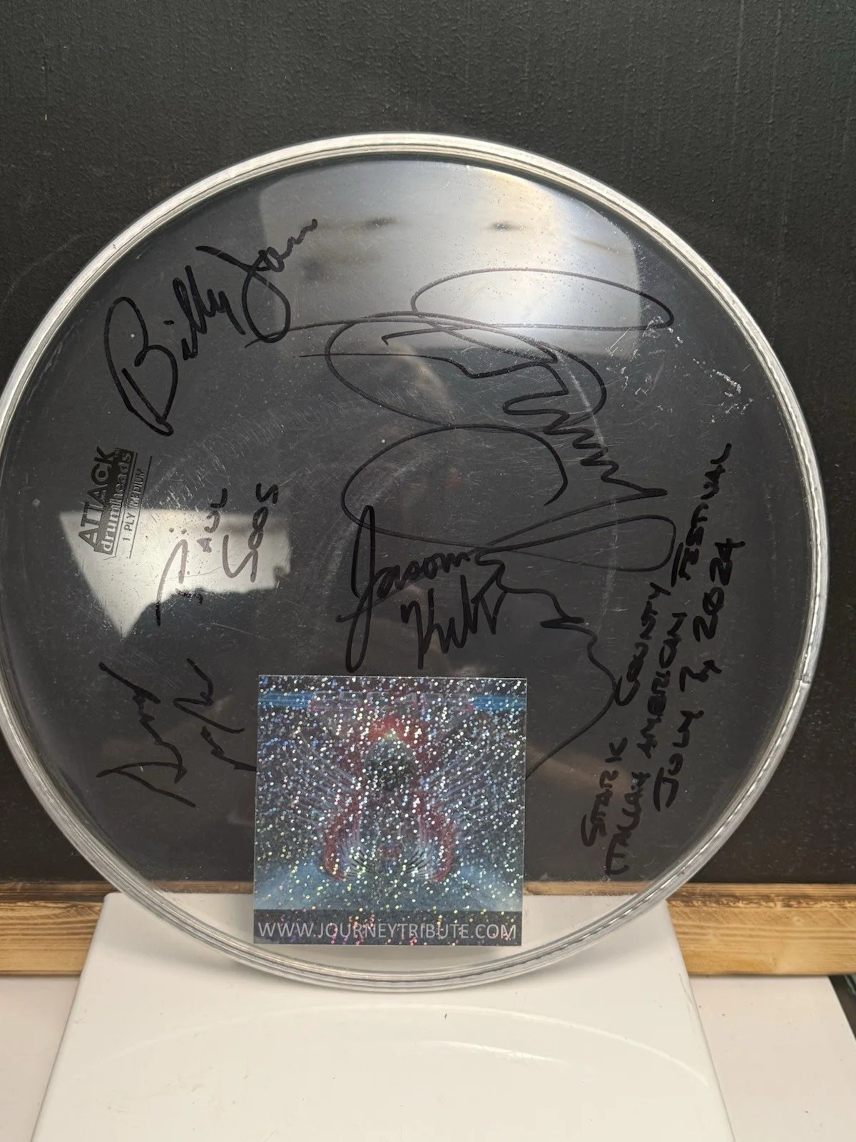 Journey Tribute Band Signed Drum Head From Stark Italian American Festival 2024, изображение 5